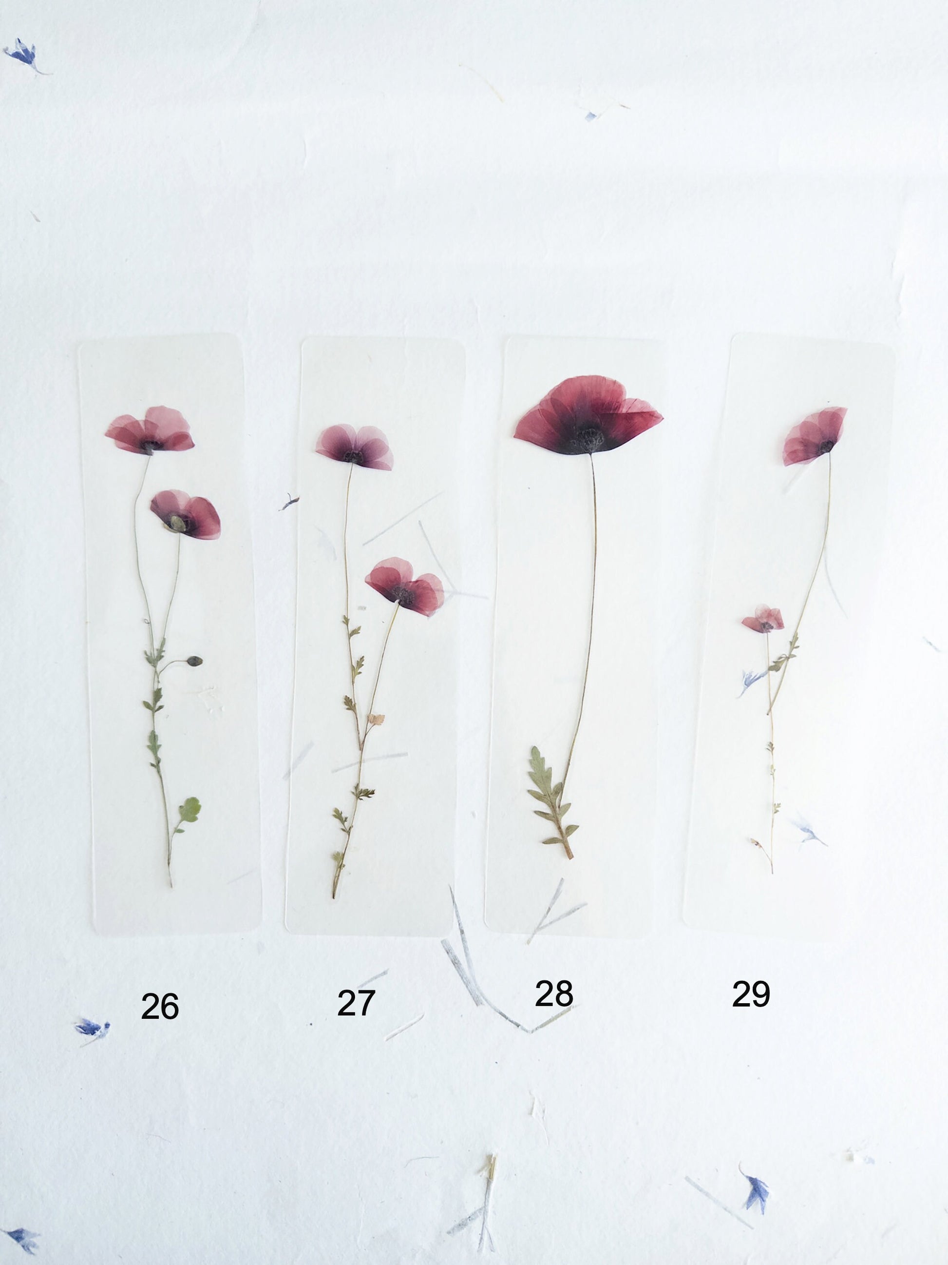Poppy flower bookmark Pressed Flower bookmark TRANSPARENT , dried flower , gift, , fleur séchée, marque page poppy , marquepage coquelicot