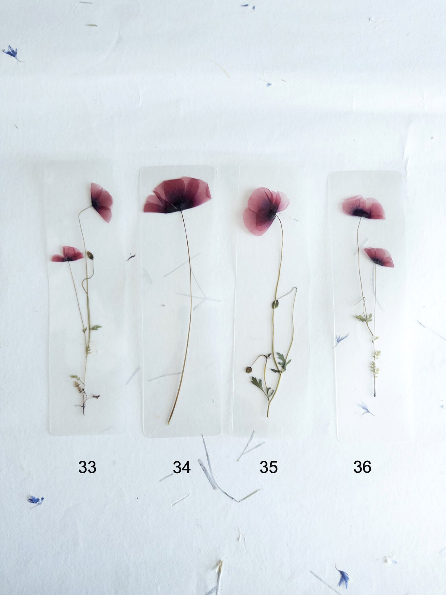 Poppy Pressed Flower bookmark TRANSPARENT , dried flower , gift, fleur, fleur séchée, marque page