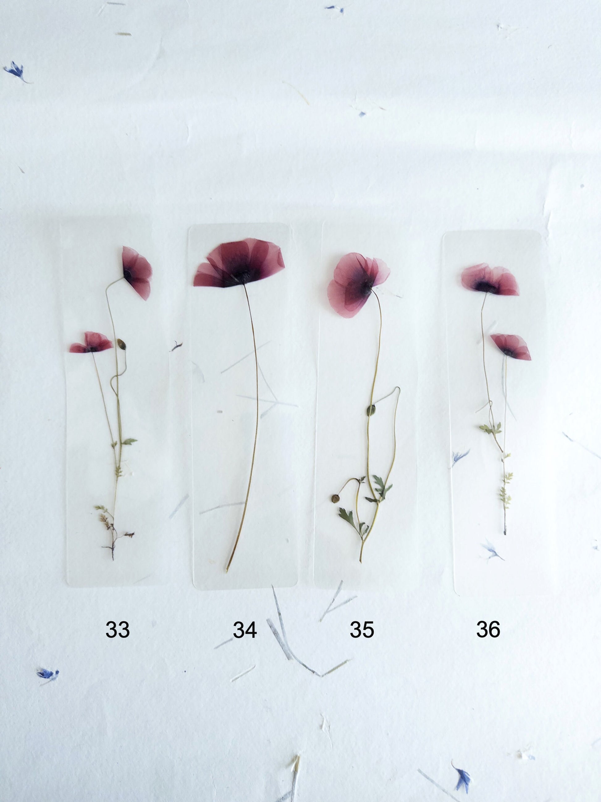 Poppy Pressed Flower bookmark TRANSPARENT , dried flower , gift, fleur, fleur séchée, marque page