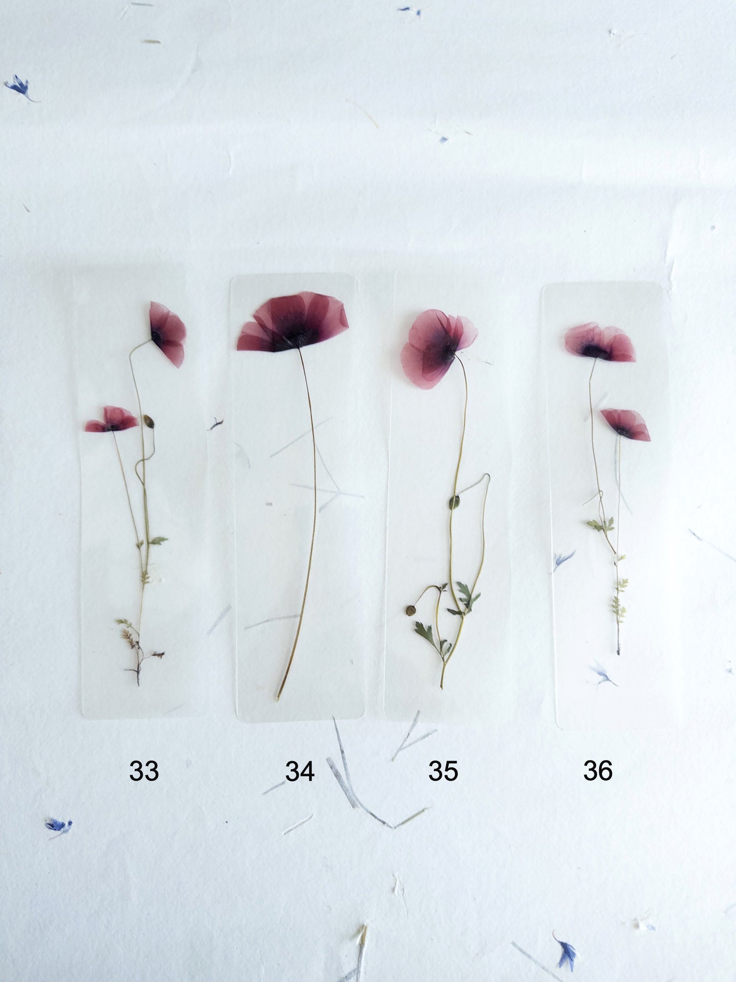 Poppy Pressed Flower bookmark TRANSPARENT , dried flower , gift, fleur, fleur séchée, marque page