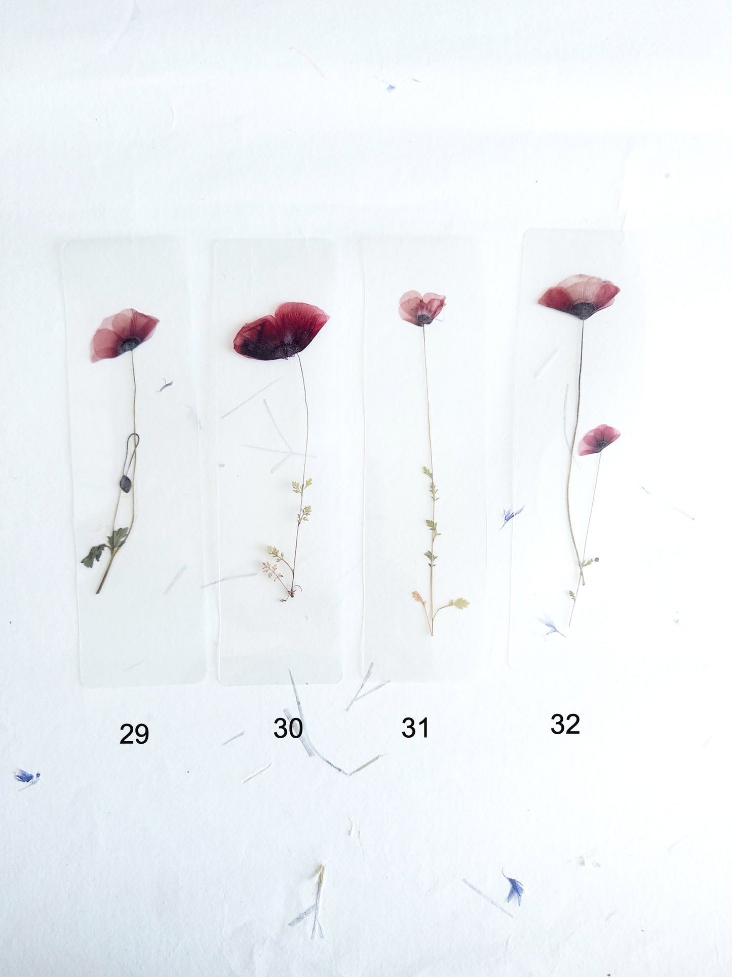 Poppy Pressed Flower bookmark TRANSPARENT , dried flower , gift, fleur, fleur séchée, marque page