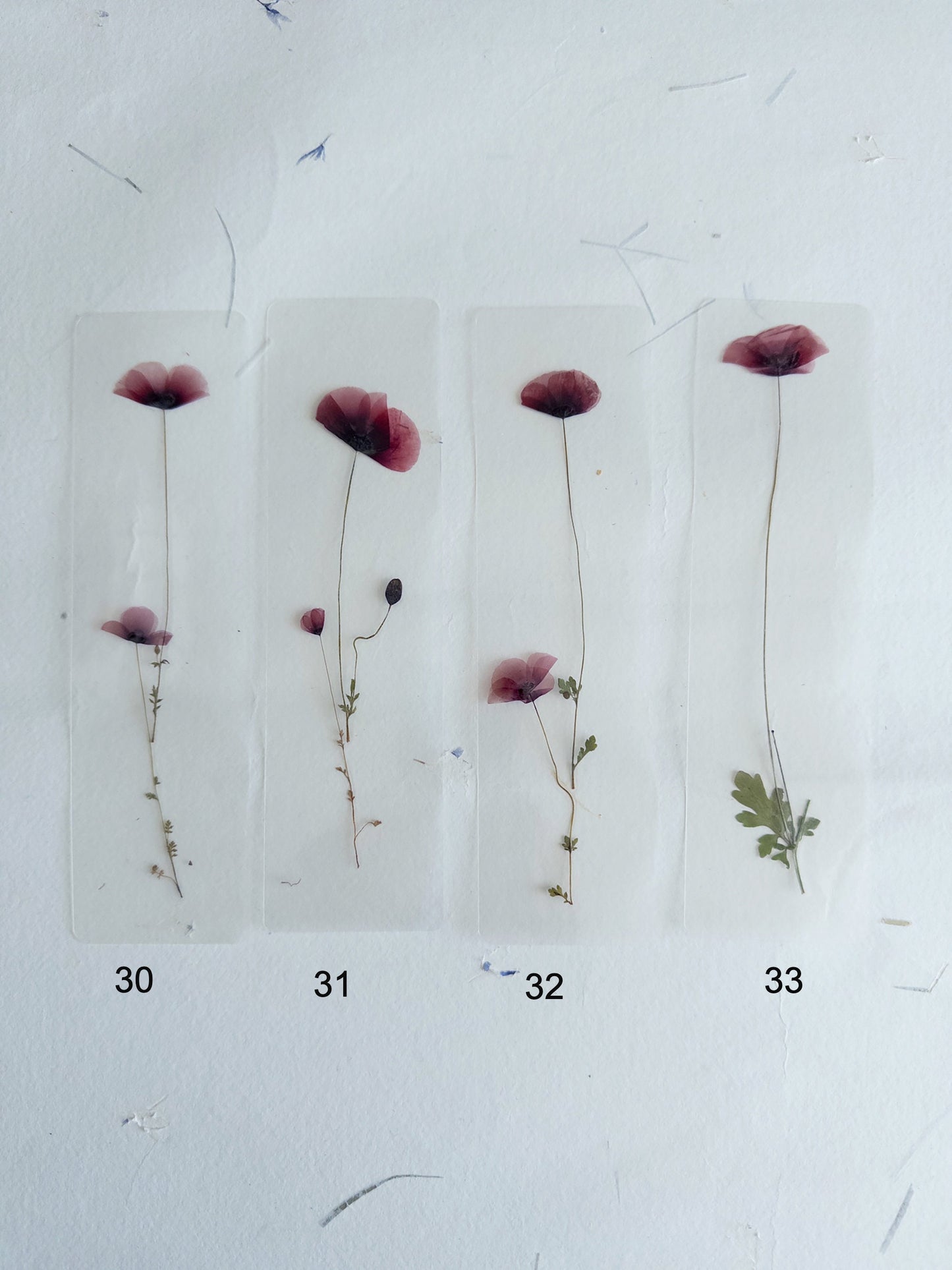 Poppy flower bookmark Pressed Flower bookmark TRANSPARENT , dried flower , gift, , fleur séchée, marque page poppy , marquepage coquelicot