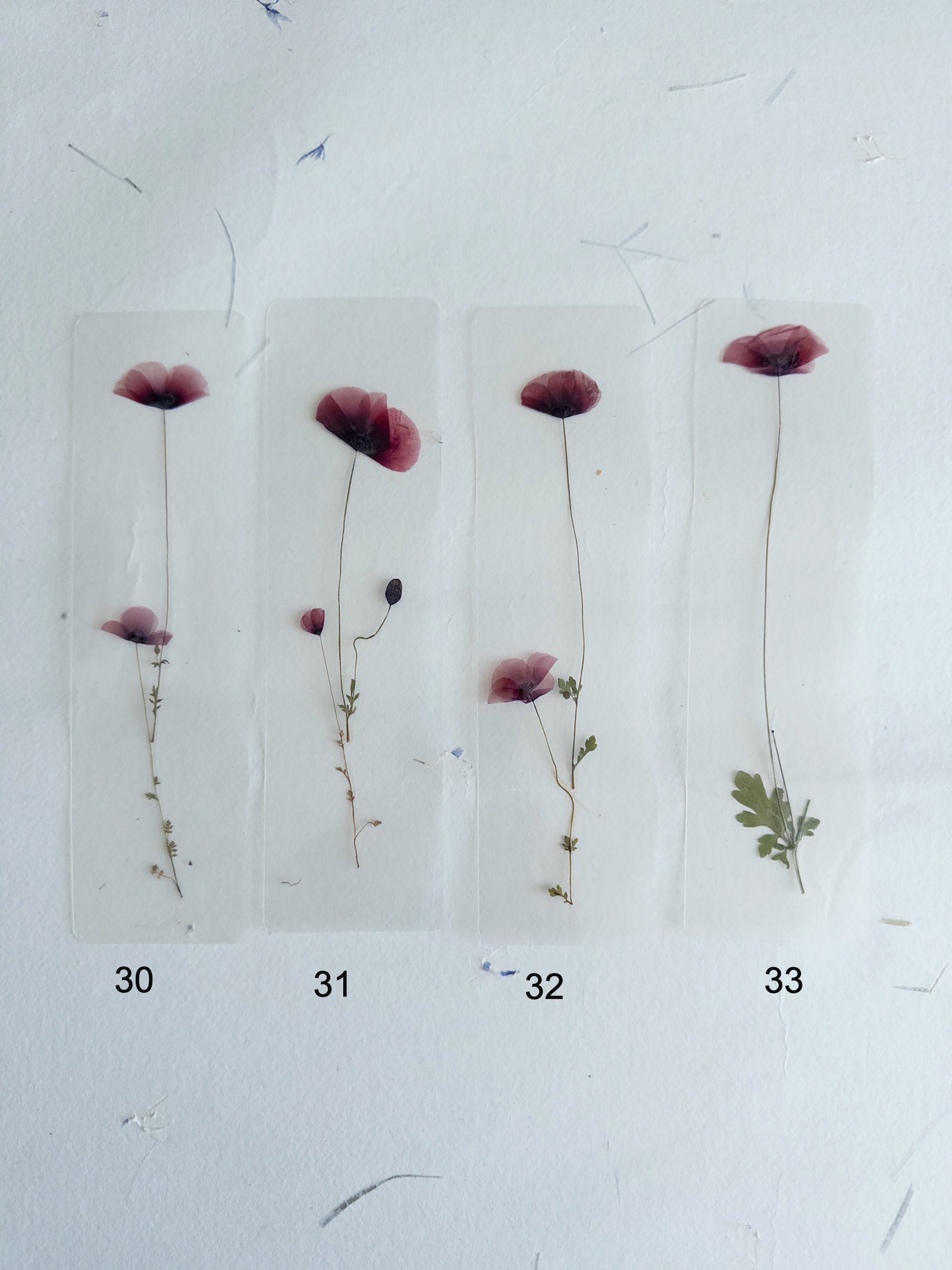 Poppy flower bookmark Pressed Flower bookmark TRANSPARENT , dried flower , gift, , fleur séchée, marque page poppy , marquepage coquelicot