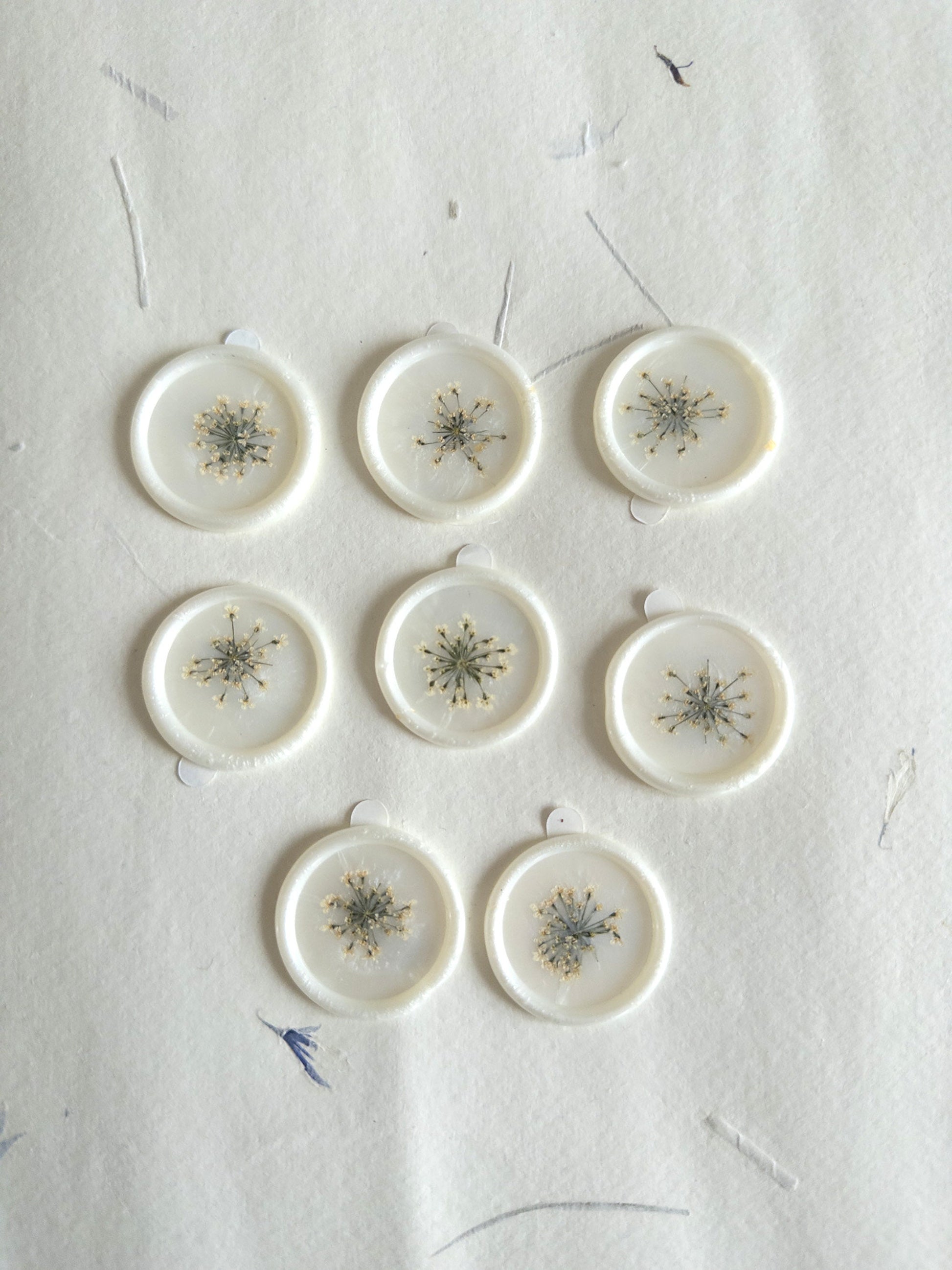 Queen Ann's Lace "" Pressed flower Seals, Self Adhesive Wax Seals, wedding DIY, flower Wax Seals, Wax Seals, Wedding Wax Seal Stickers