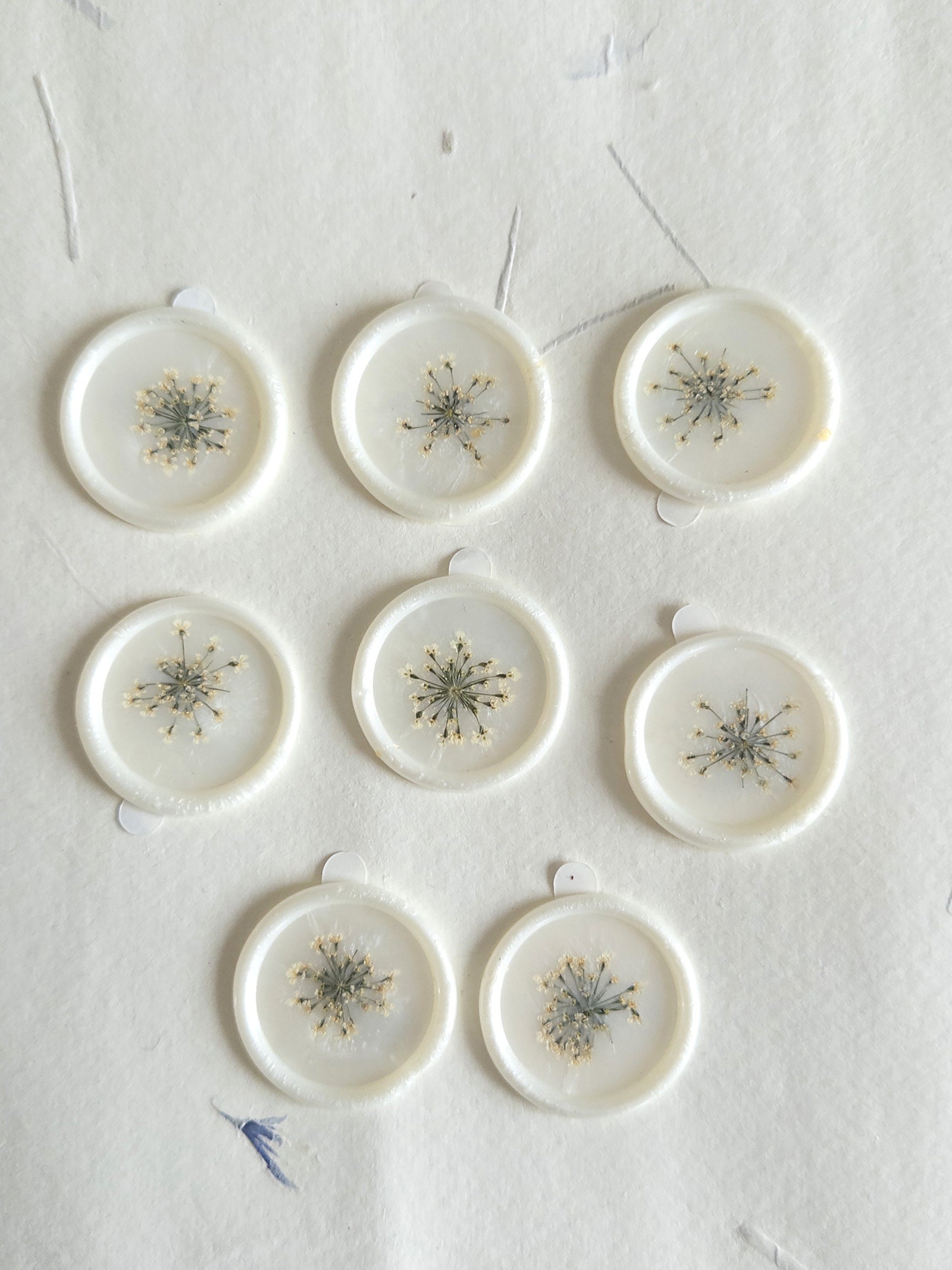 Queen Ann's Lace "" Pressed flower Seals, Self Adhesive Wax Seals, wedding DIY, flower Wax Seals, Wax Seals, Wedding Wax Seal Stickers