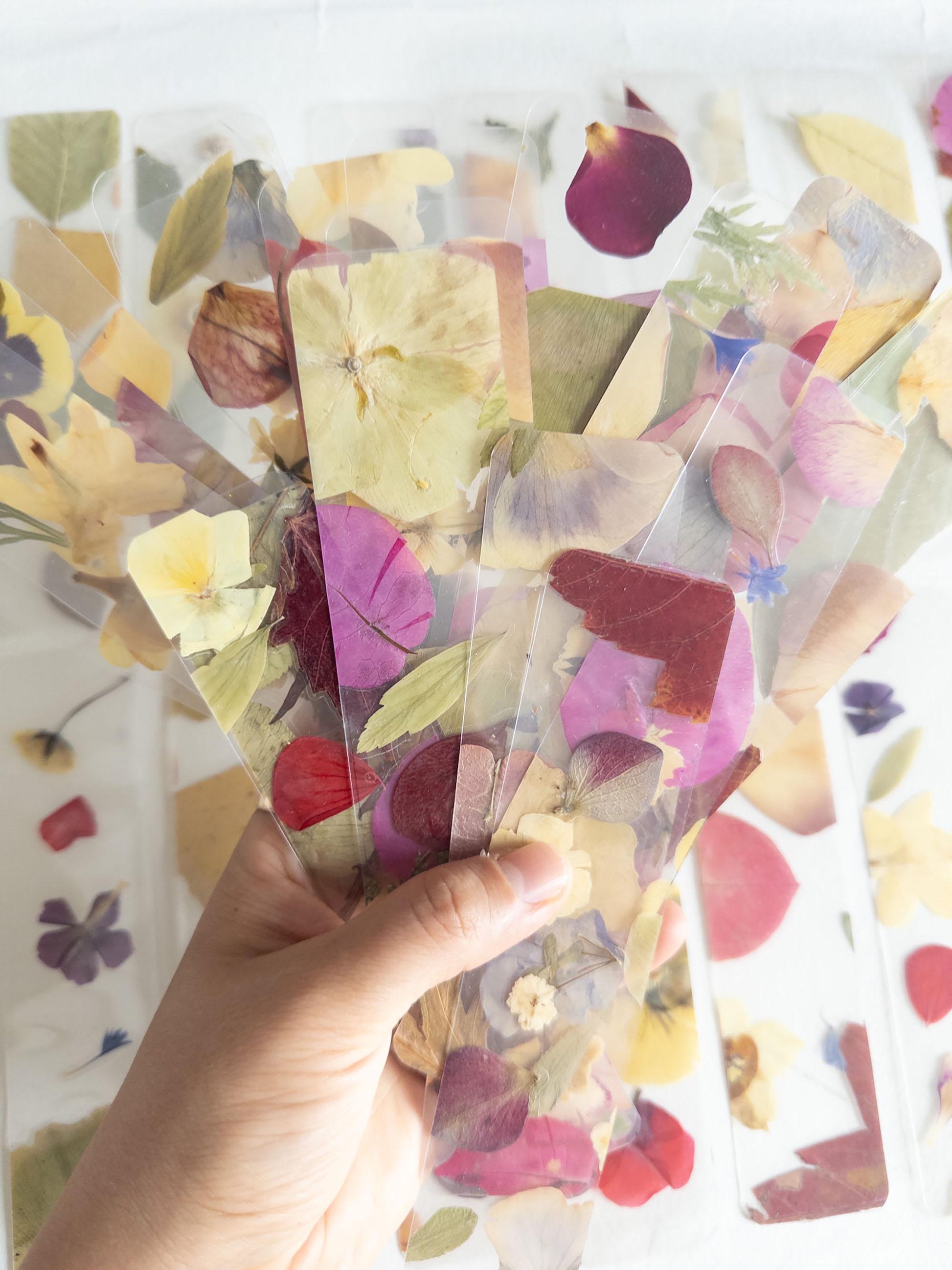 Close-up of a transparent bookmark with intricate pressed flowers - showcasing the detailed craftsmanship and natural beauty