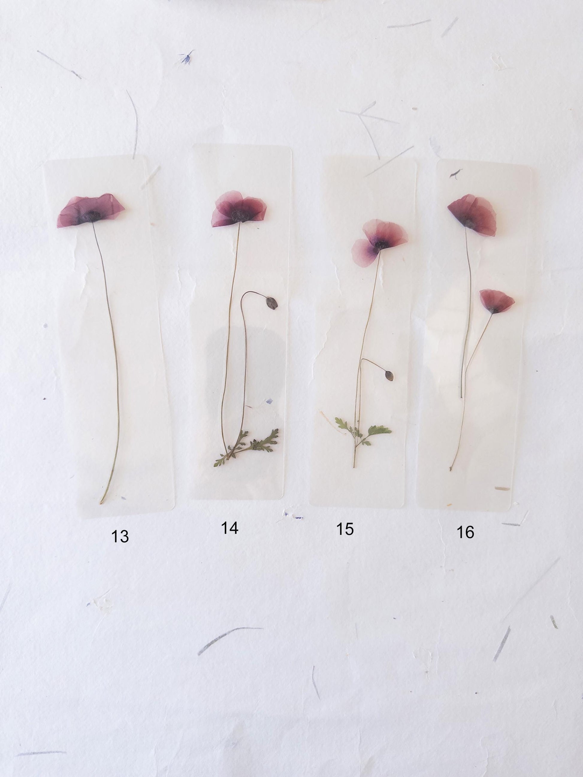 Pressed Flower bookmark TRANSPARENT , dried flower , gift, fleur, fleur séchée, marque page poppy coquelicot
