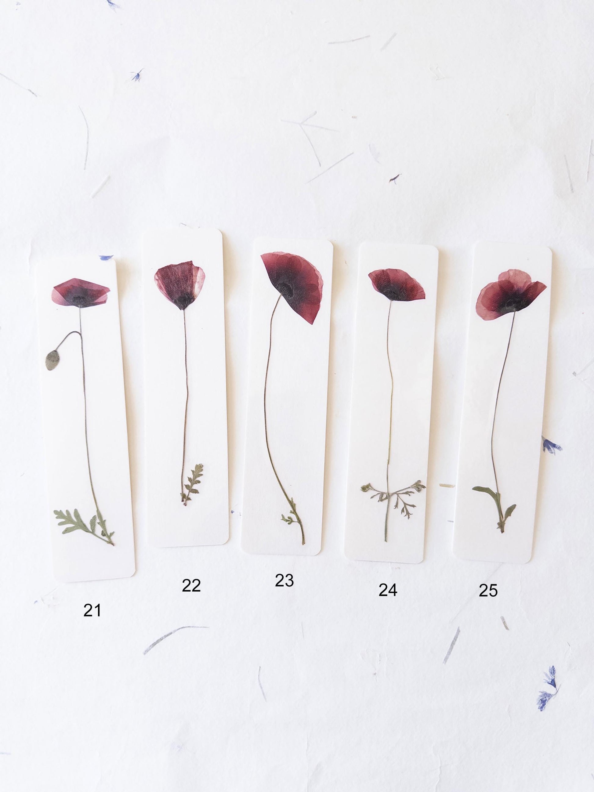 Pressed Flower bookmark corn poppy , dried flower , gift, fleur, fleur séchée, marque page coquelicots
