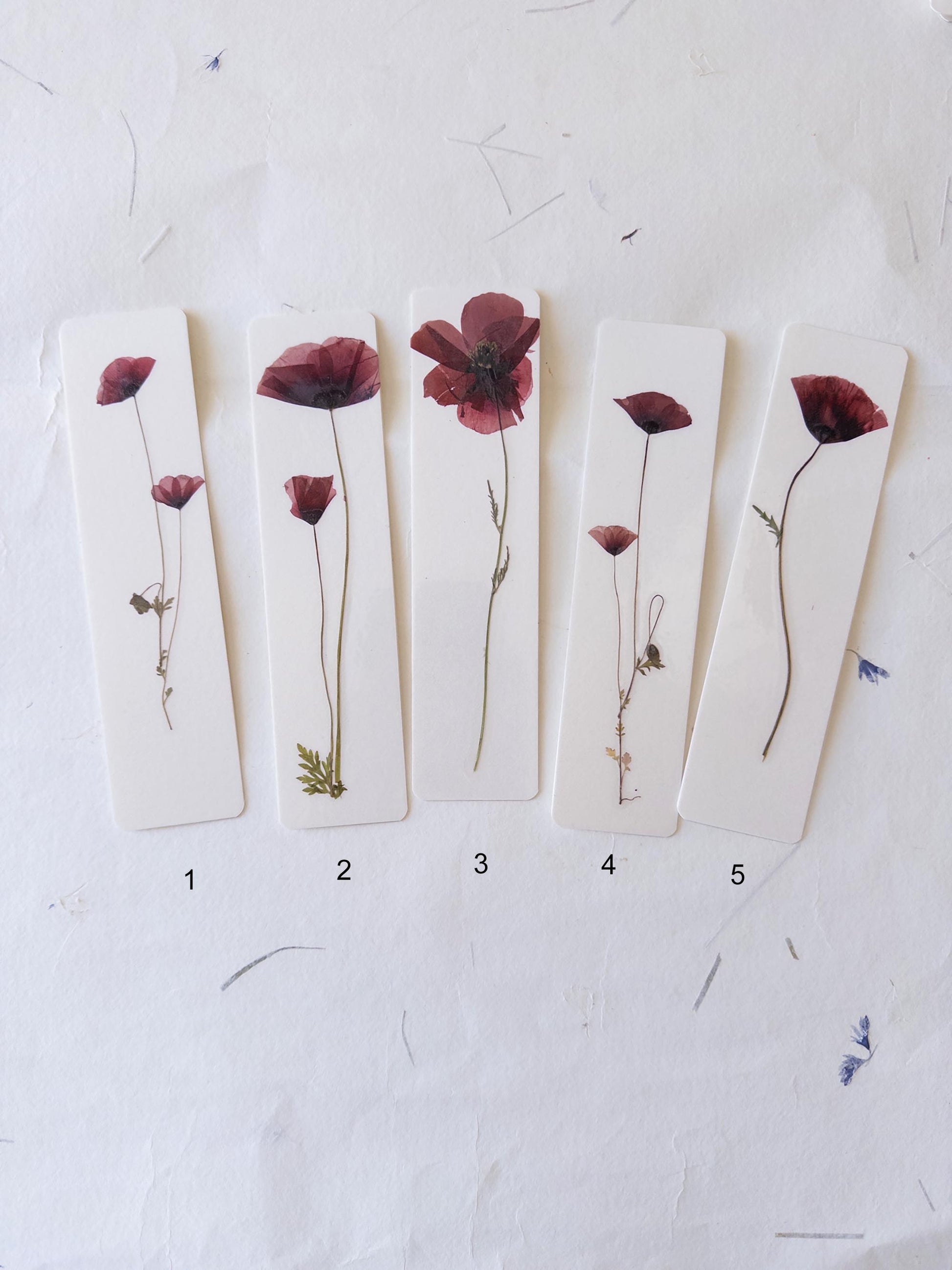 Pressed Flower bookmark corn poppy , dried flower , gift, fleur, fleur séchée, marque page coquelicots