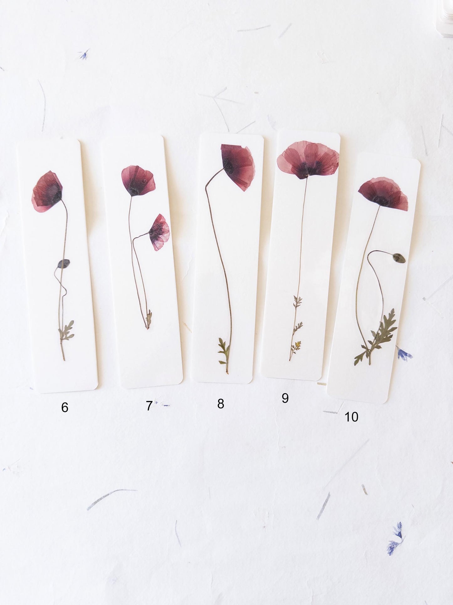 Common poppy bookmark ,Pressed Flower bookmark corn poppy , dried flower , gift, flower, dried flower, poppies bookmark