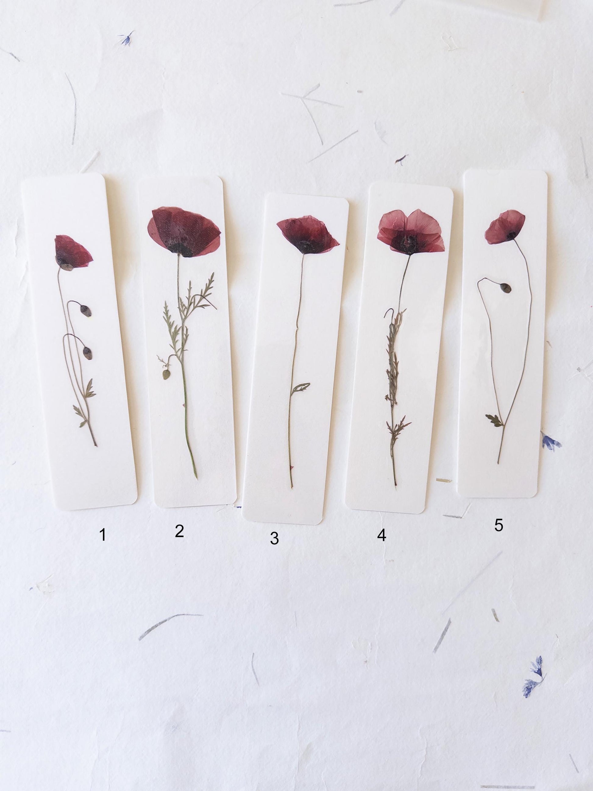 Common poppy bookmark ,Pressed Flower bookmark corn poppy , dried flower , gift, flower, dried flower, poppies bookmark