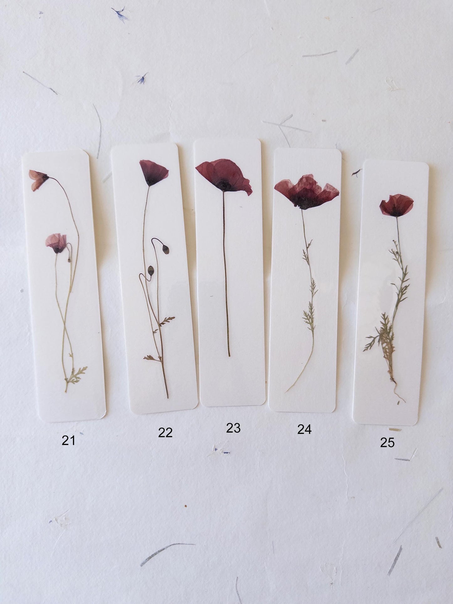 Common poppy bookmark ,Pressed Flower bookmark corn poppy , dried flower , gift, flower, dried flower, poppies bookmark