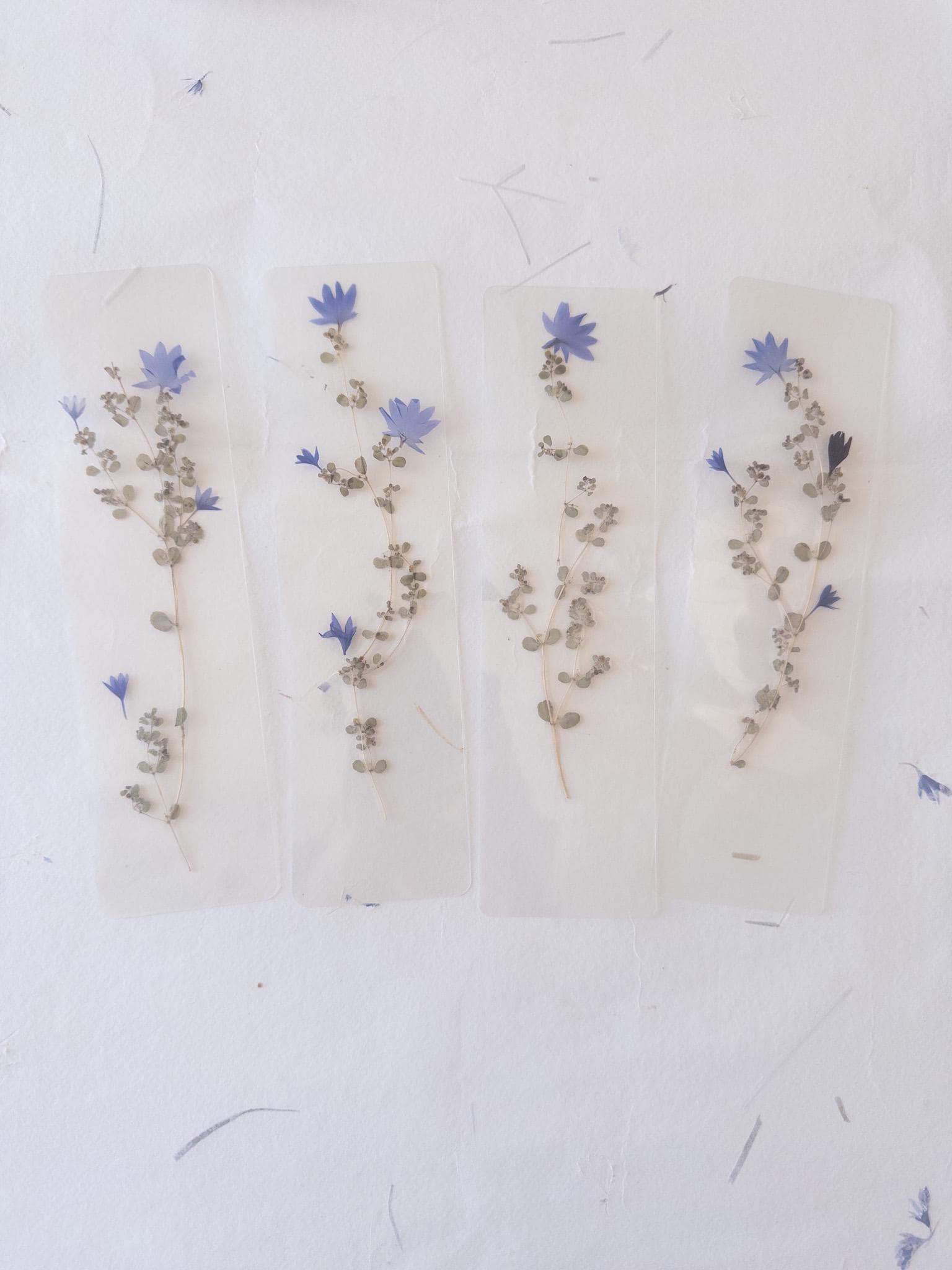 Pressed flower bookmark on handmade cotton paper, cornflower , handmade bookmark, gift, dried flower, fleur séchée , marque page Le Bleuet