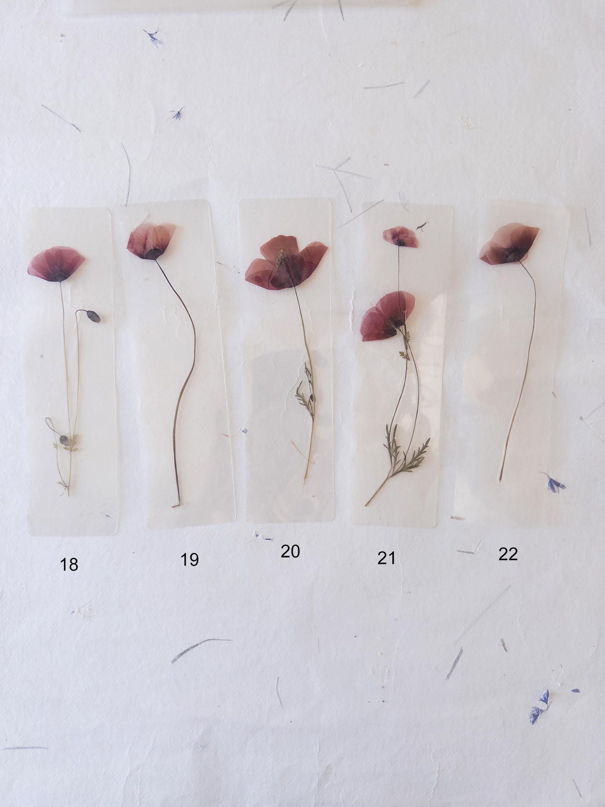 Poppy flower bookmark Pressed Flower bookmark TRANSPARENT , dried flower , gift, , fleur séchée, marque page poppy , marquepage coquelicot