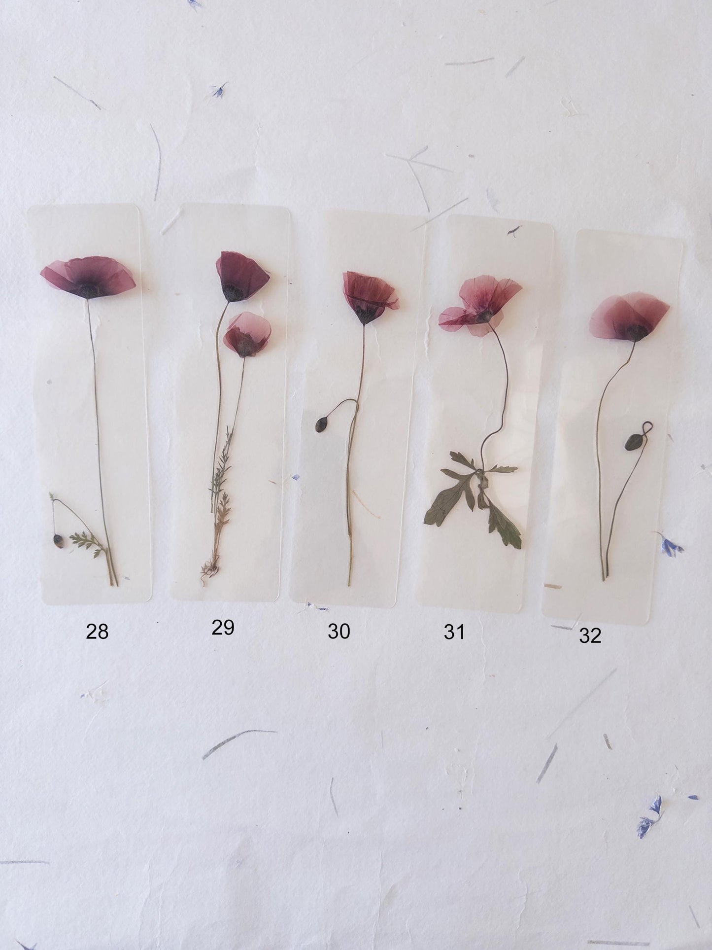 Poppy flower bookmark Pressed Flower bookmark TRANSPARENT , dried flower , gift, , fleur séchée, marque page poppy , marquepage coquelicot