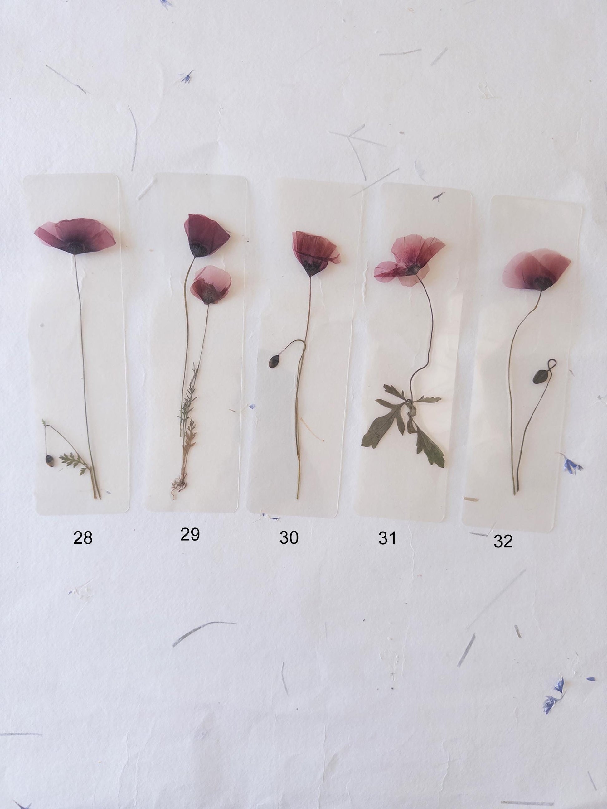 Poppy flower bookmark Pressed Flower bookmark TRANSPARENT , dried flower , gift, , fleur séchée, marque page poppy , marquepage coquelicot