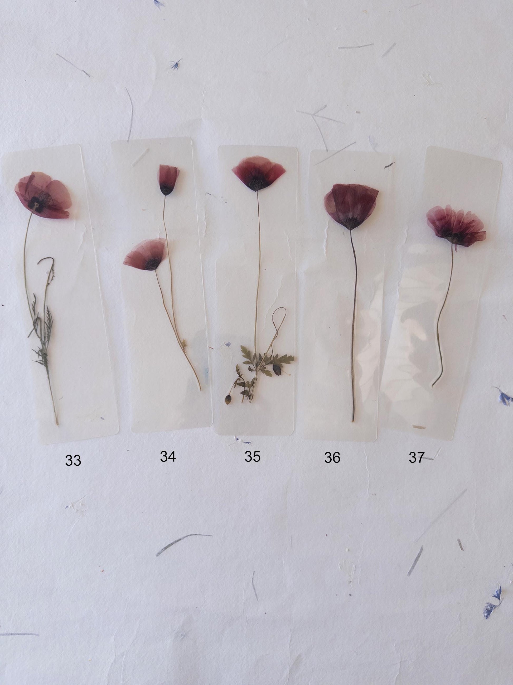 Poppy flower bookmark Pressed Flower bookmark TRANSPARENT , dried flower , gift, , fleur séchée, marque page poppy , marquepage coquelicot