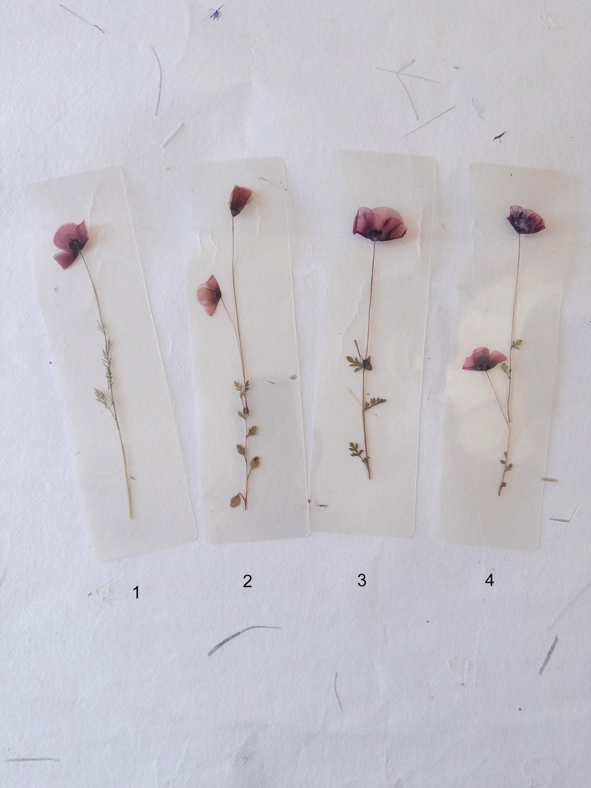 Pressed Flower bookmark TRANSPARENT , dried flower , gift, fleur, fleur séchée, marque page poppy coquelicot
