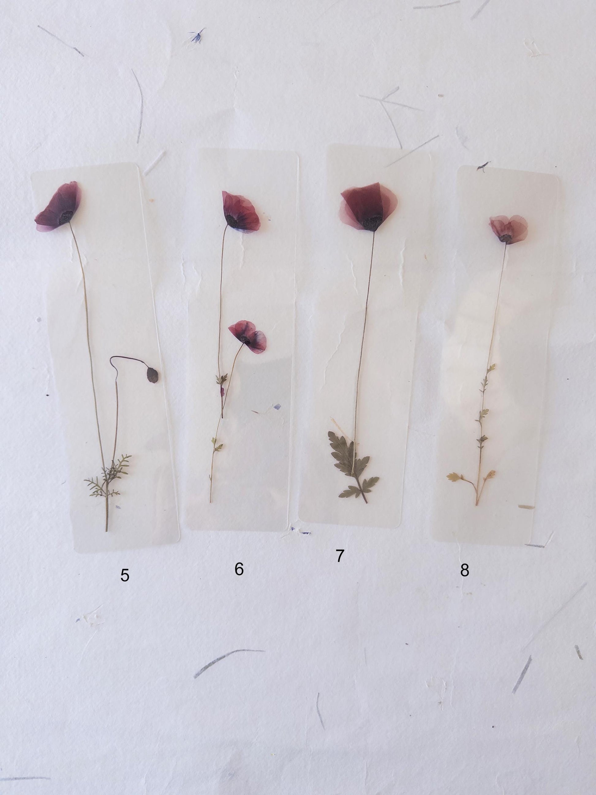 Pressed Flower bookmark TRANSPARENT , dried flower , gift, fleur, fleur séchée, marque page poppy coquelicot