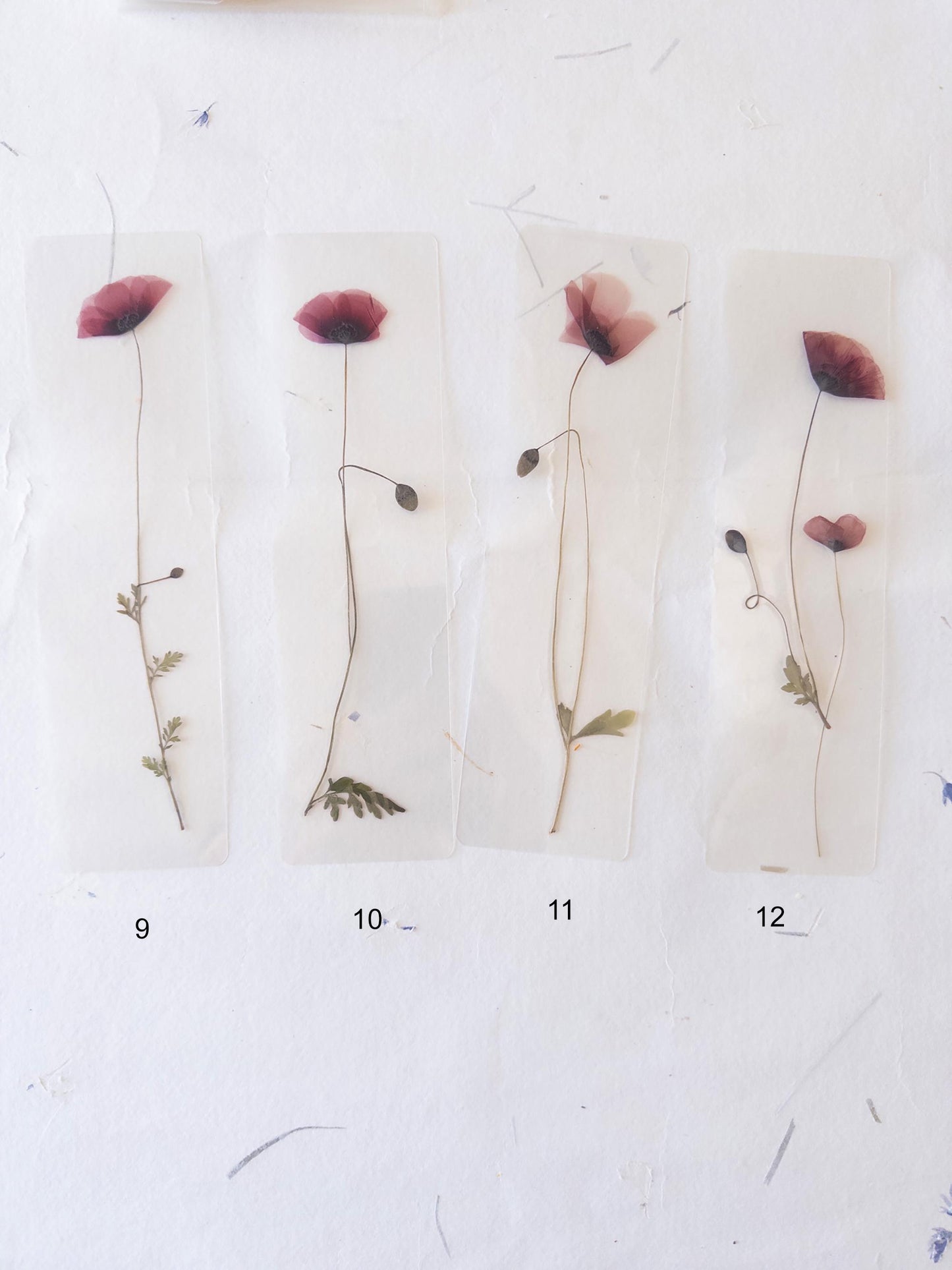 Pressed Flower bookmark TRANSPARENT , dried flower , gift, fleur, fleur séchée, marque page poppy coquelicot