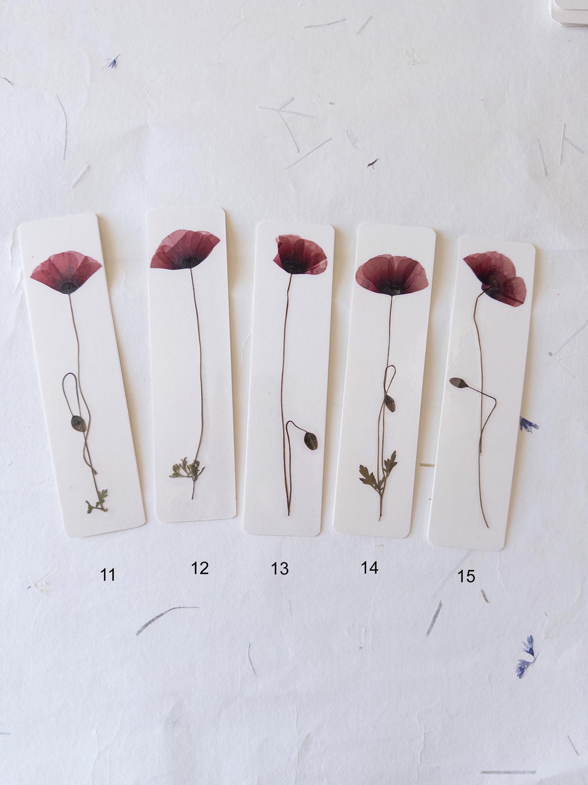Pressed Flower bookmark corn poppy , dried flower , gift, fleur, fleur séchée, marque page coquelicots