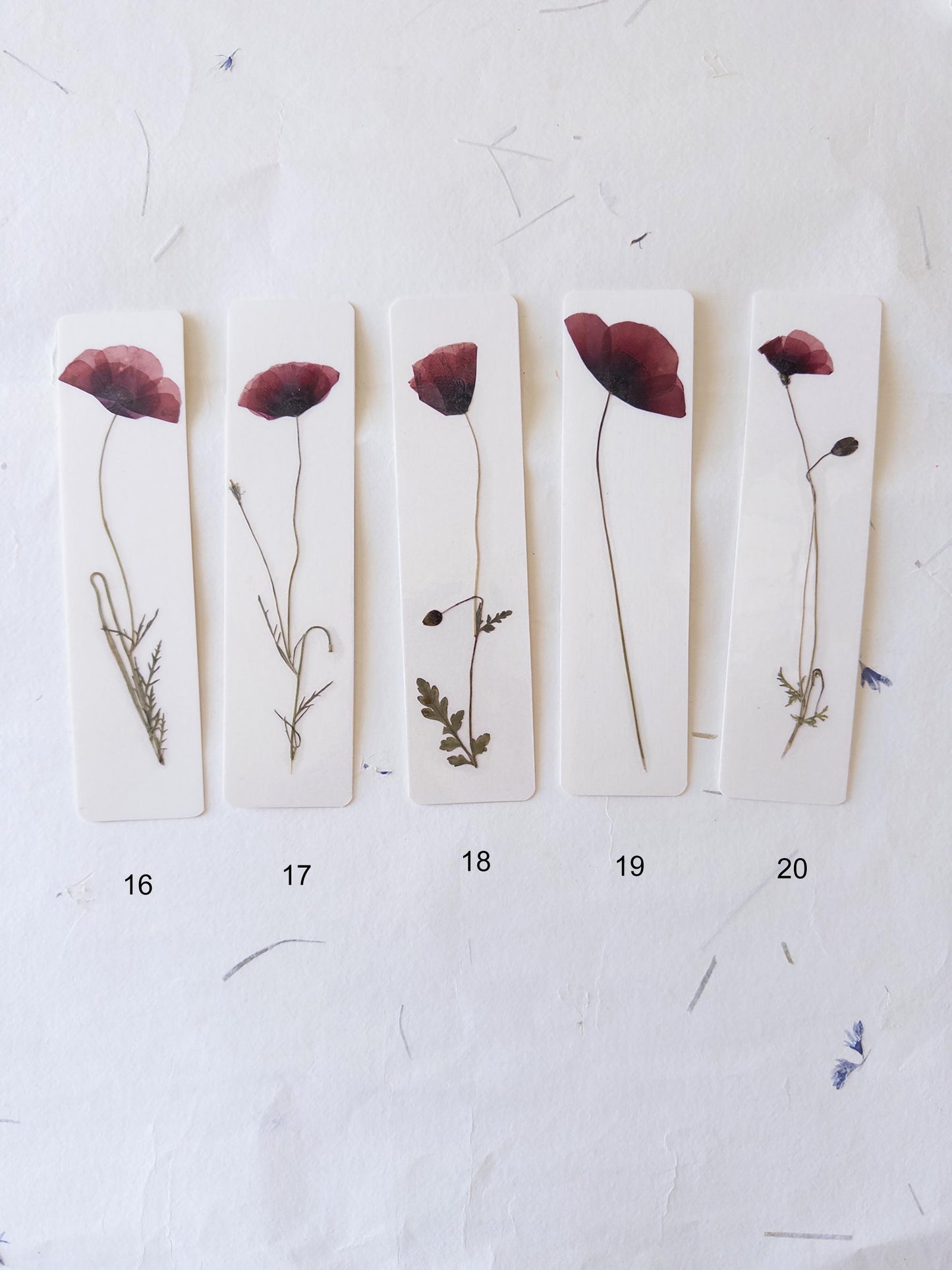 Pressed Flower bookmark corn poppy , dried flower , gift, fleur, fleur séchée, marque page coquelicots
