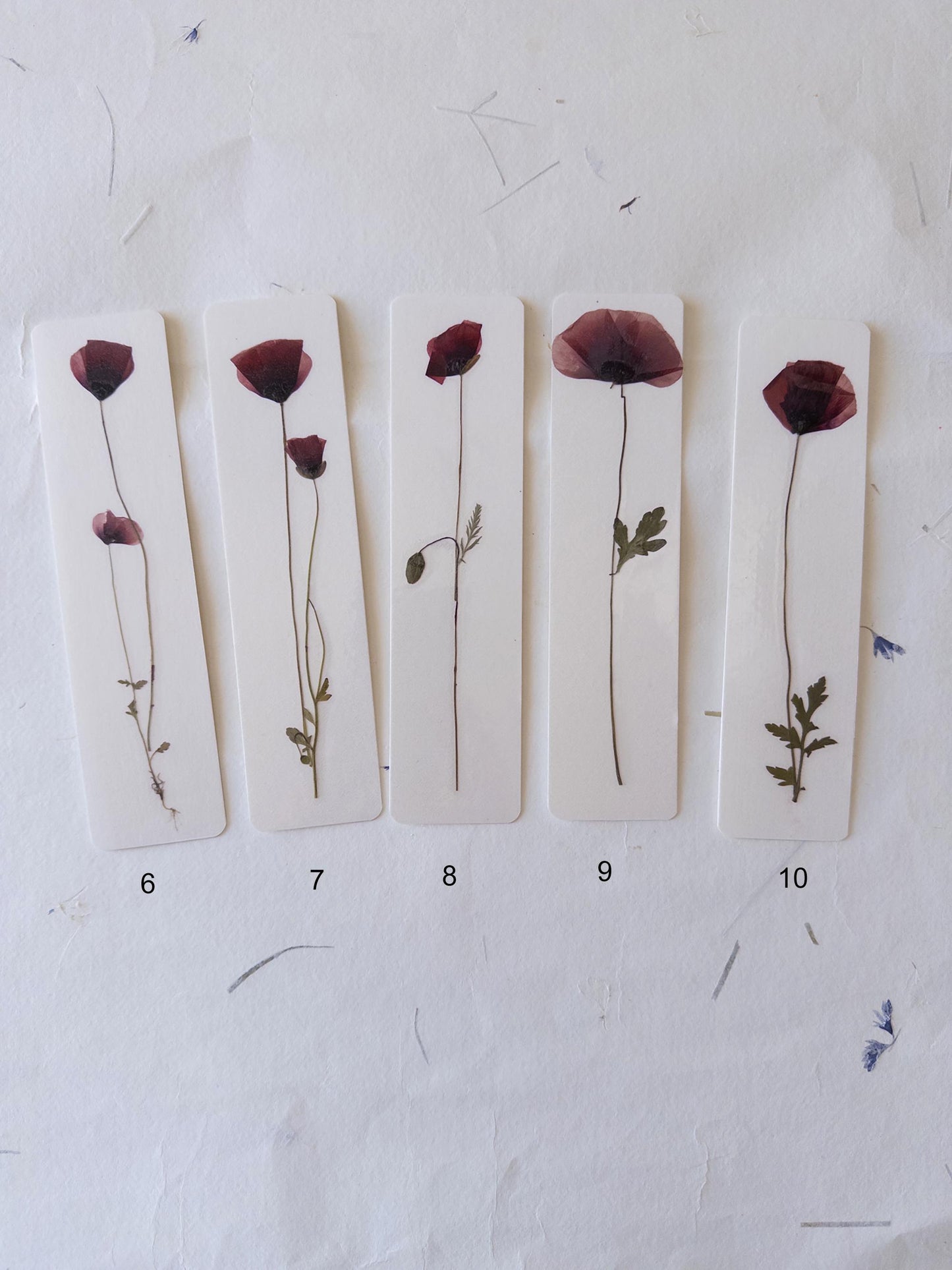 Pressed Flower bookmark corn poppy , dried flower , gift, fleur, fleur séchée, marque page coquelicots