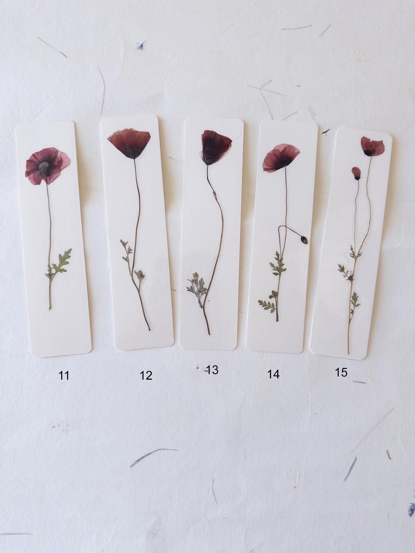 Common poppy bookmark ,Pressed Flower bookmark corn poppy , dried flower , gift, flower, dried flower, poppies bookmark