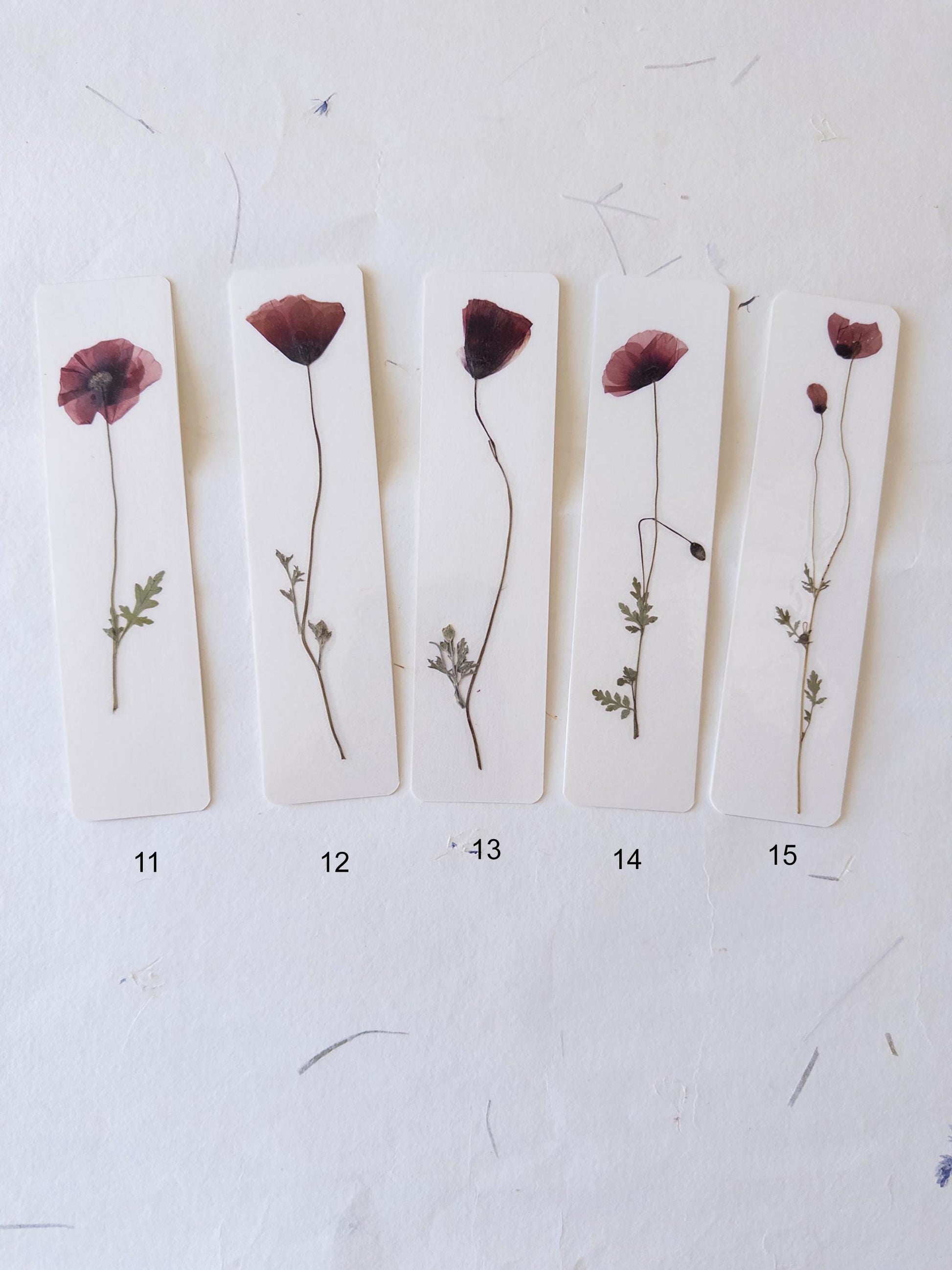 Common poppy bookmark ,Pressed Flower bookmark corn poppy , dried flower , gift, flower, dried flower, poppies bookmark