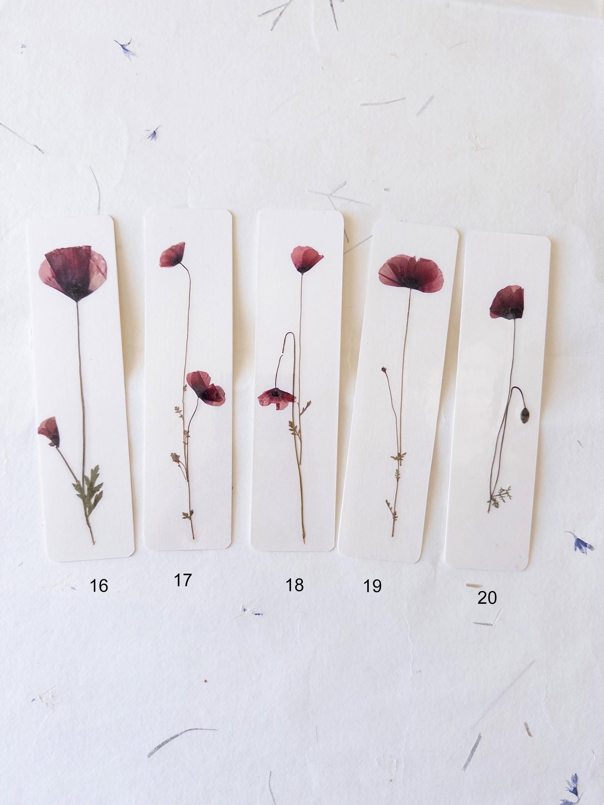 Common poppy bookmark ,Pressed Flower bookmark corn poppy , dried flower , gift, flower, dried flower, poppies bookmark