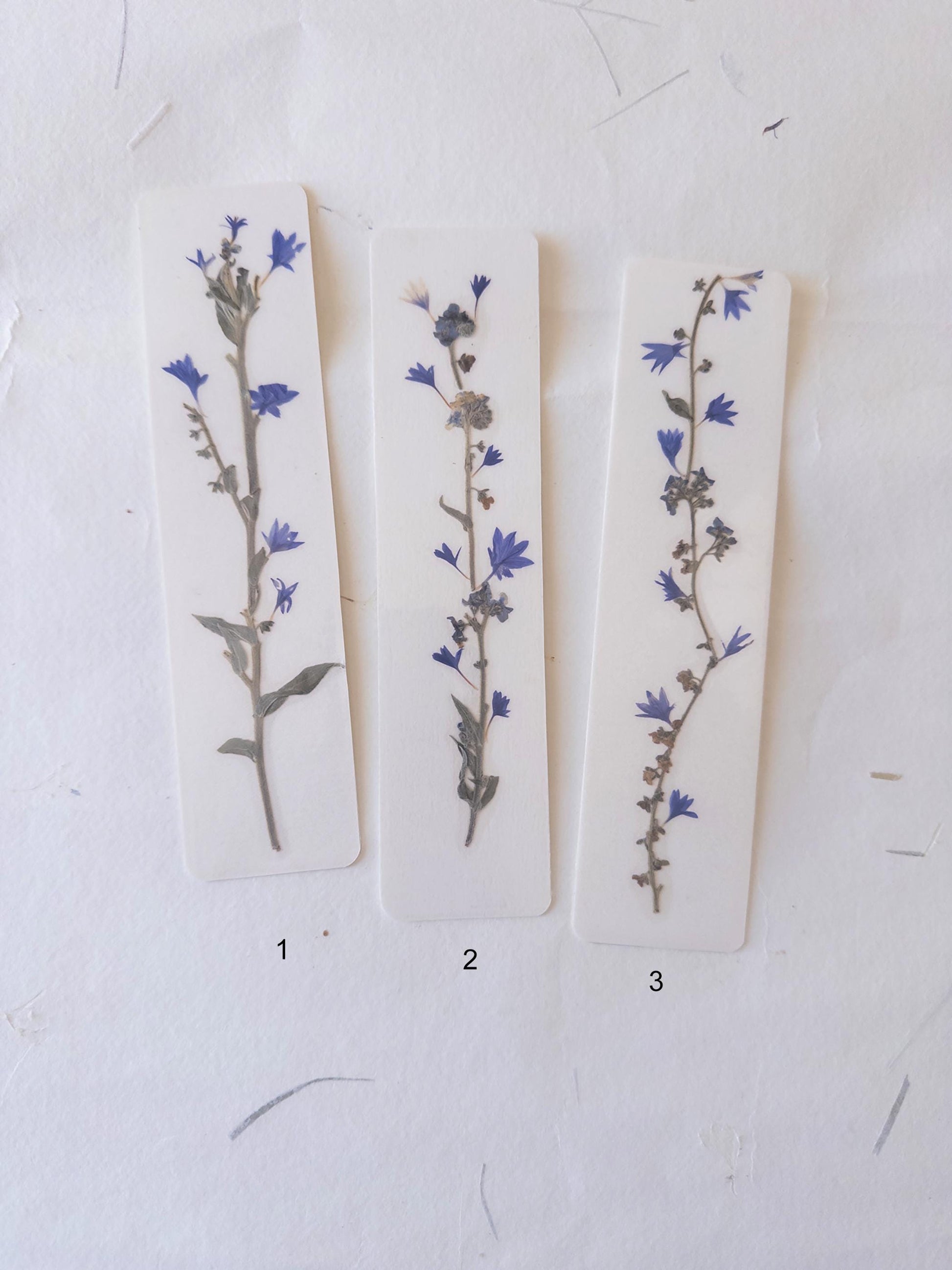 Pressed flower bookmark on handmade cotton paper, cornflower , handmade bookmark, gift, dried flower, fleur séchée , marque page Le Bleuet