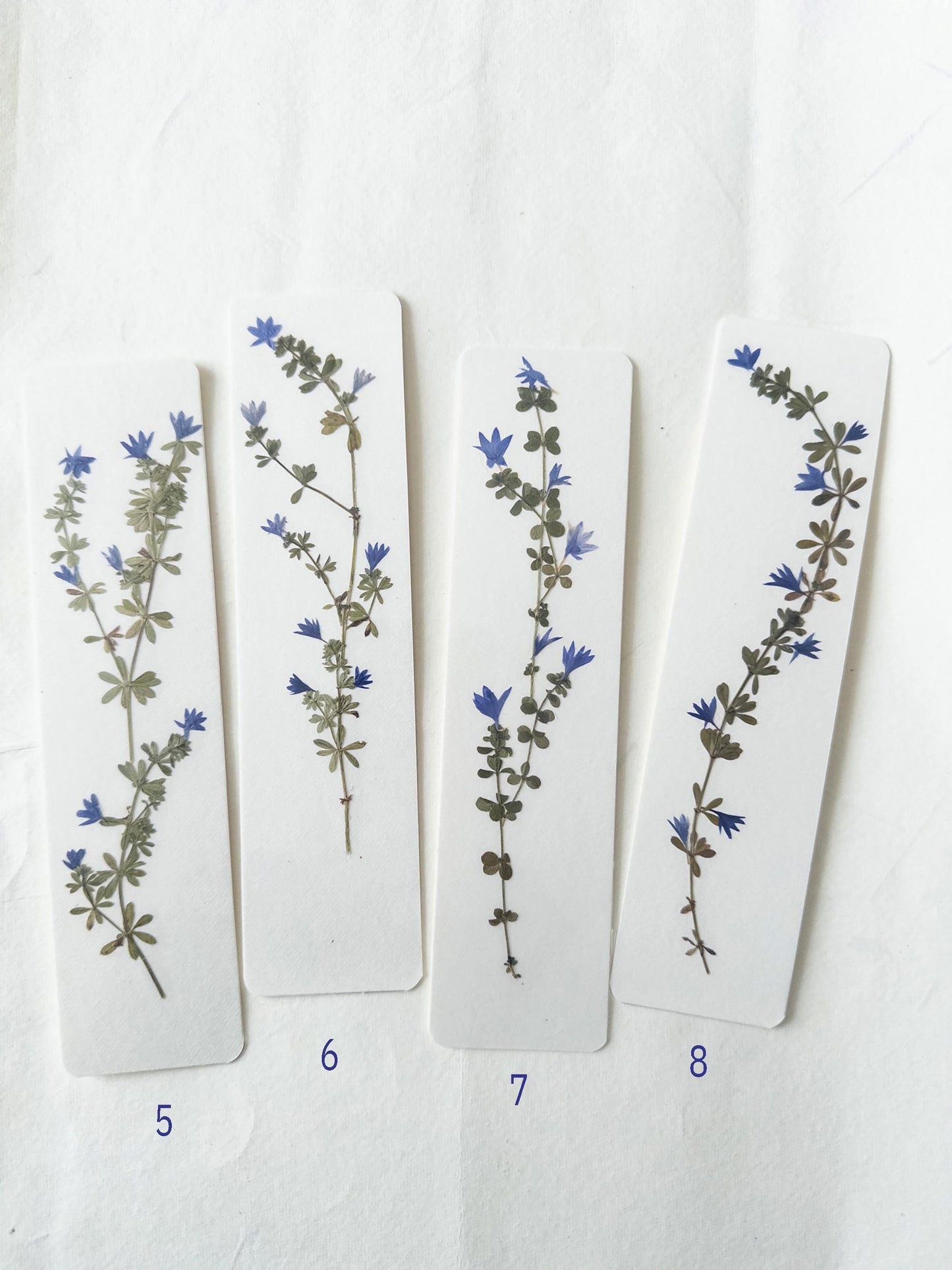 Pressed flower bookmark on handmade cotton paper, cornflower , handmade bookmark, gift, dried flower, fleur séchée , marque page Le Bleuet