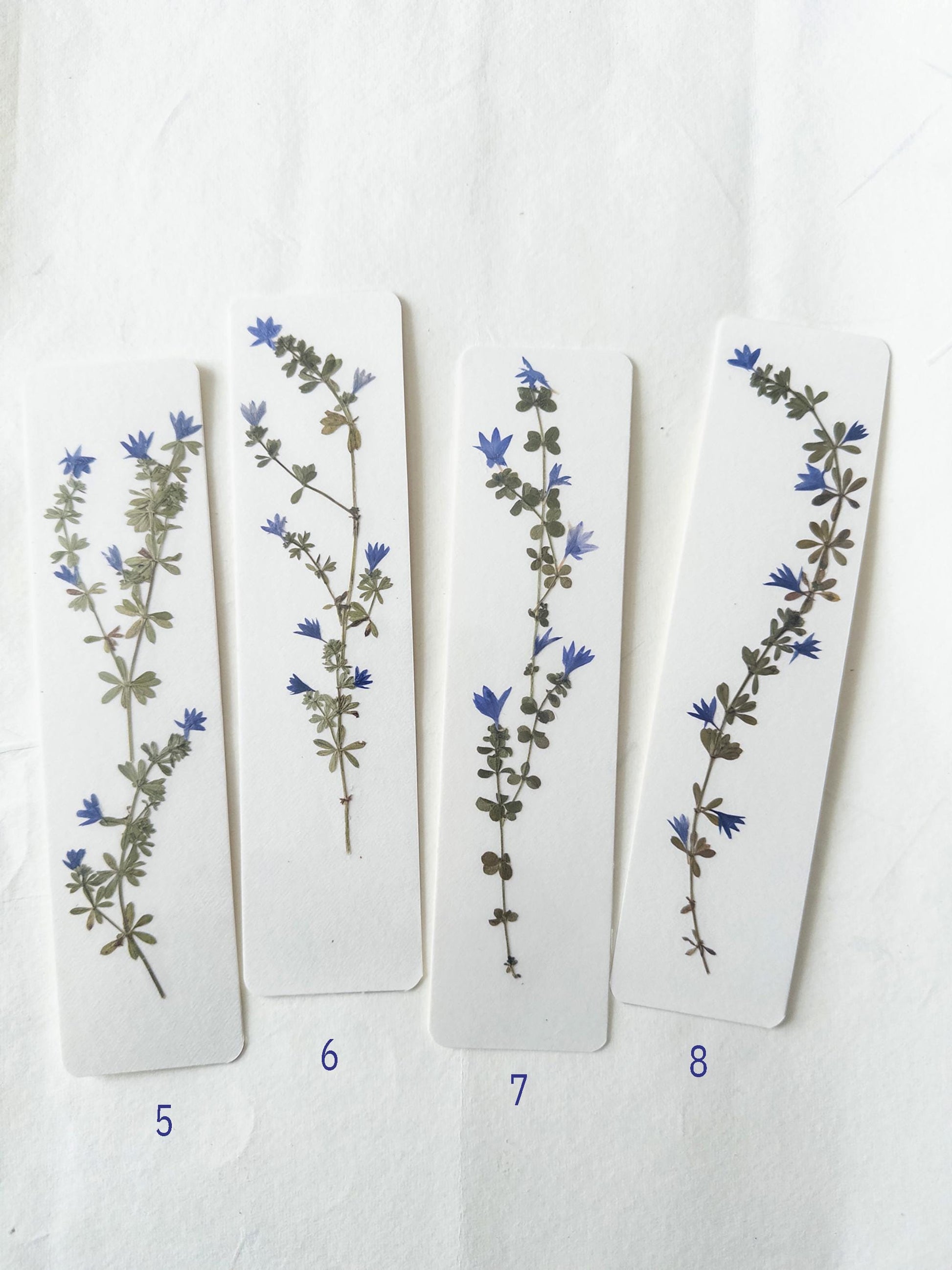 Pressed flower bookmark on handmade cotton paper, cornflower , handmade bookmark, gift, dried flower, fleur séchée , marque page Le Bleuet