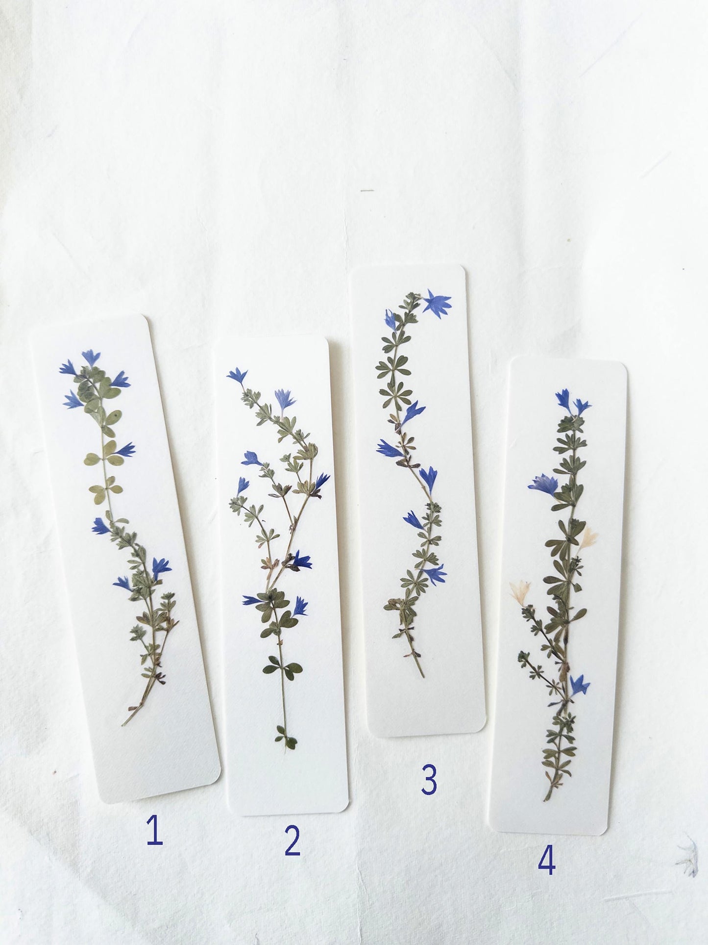 Pressed flower bookmark on handmade cotton paper, cornflower , handmade bookmark, gift, dried flower, fleur séchée , marque page Le Bleuet