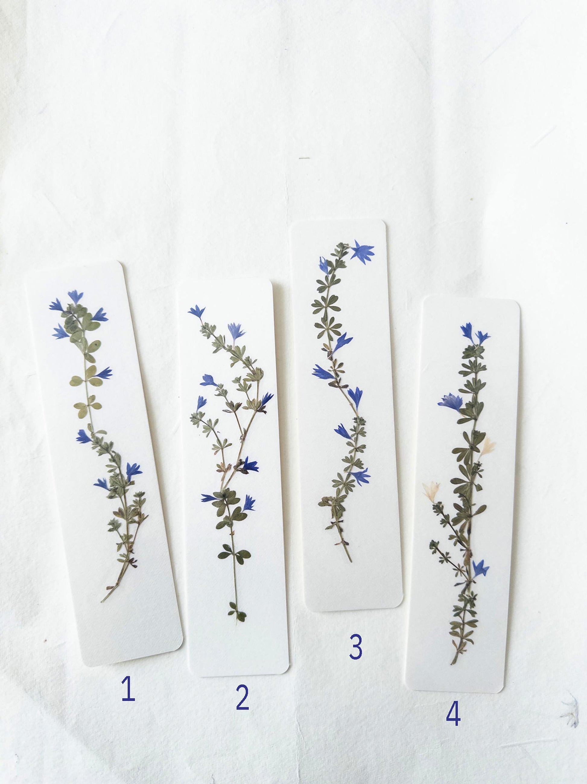 Pressed flower bookmark on handmade cotton paper, cornflower , handmade bookmark, gift, dried flower, fleur séchée , marque page Le Bleuet