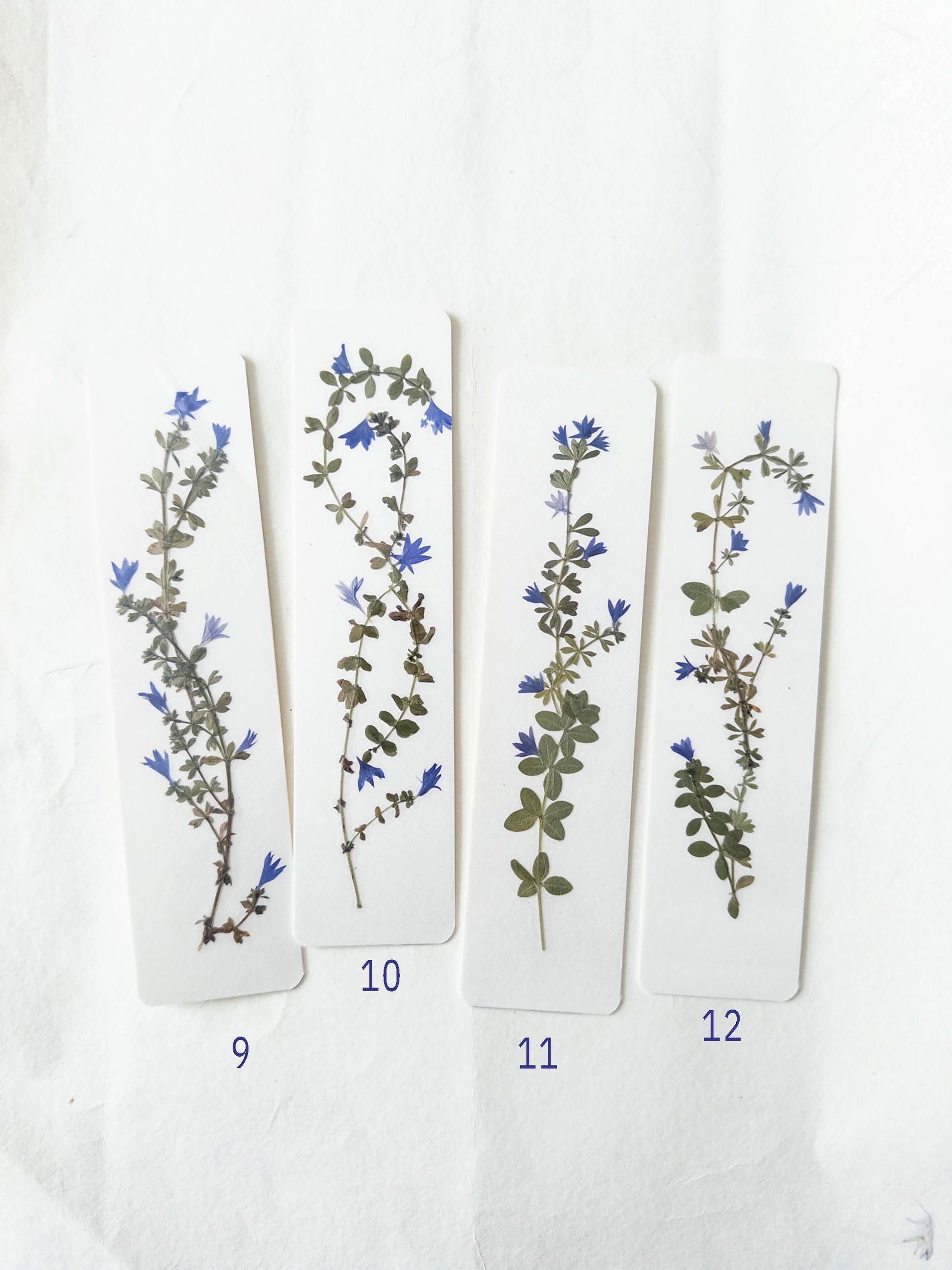 Pressed flower bookmark on handmade cotton paper, cornflower , handmade bookmark, gift, dried flower, fleur séchée , marque page Le Bleuet