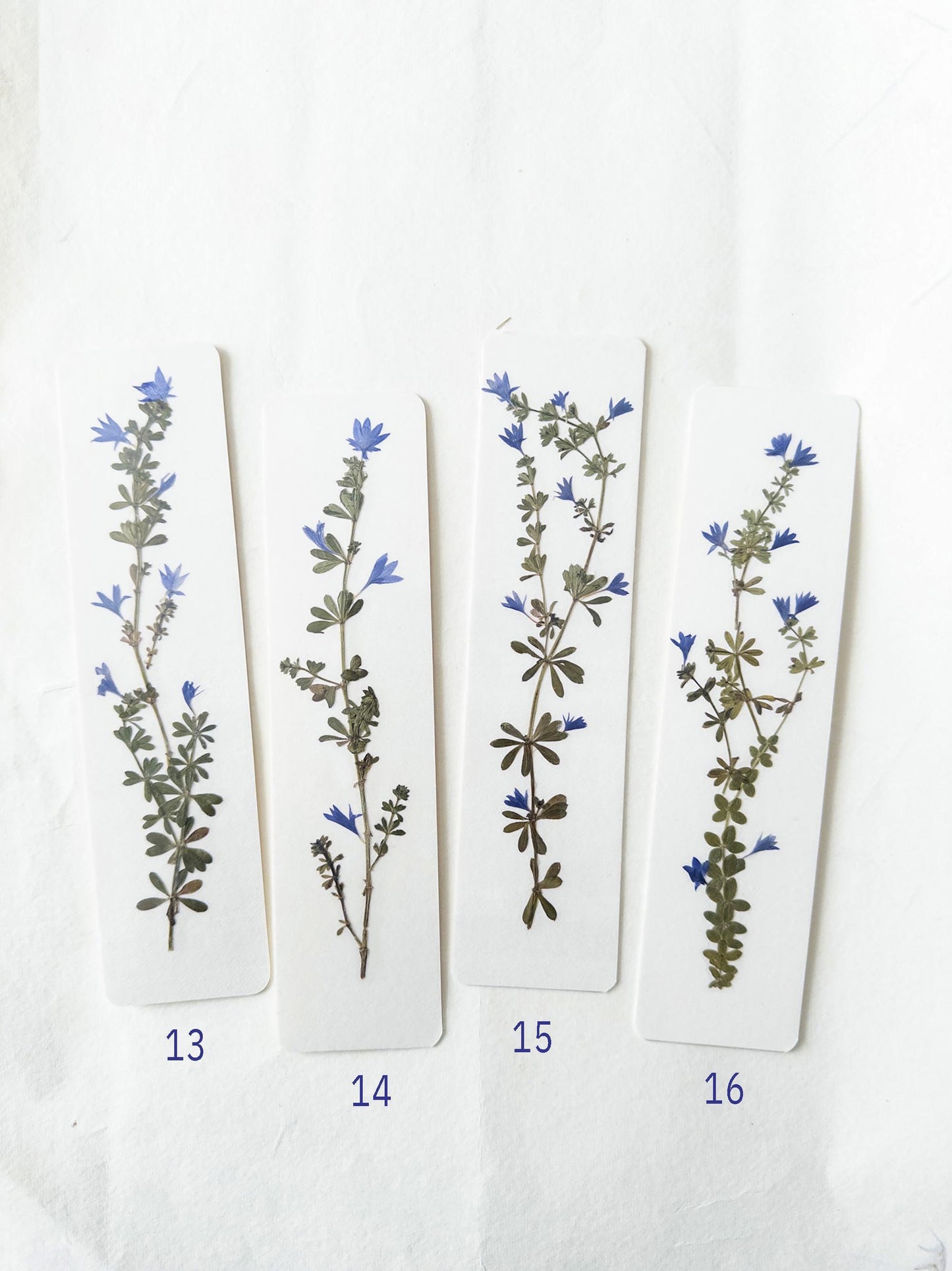 Pressed flower bookmark on handmade cotton paper, cornflower , handmade bookmark, gift, dried flower, fleur séchée , marque page Le Bleuet