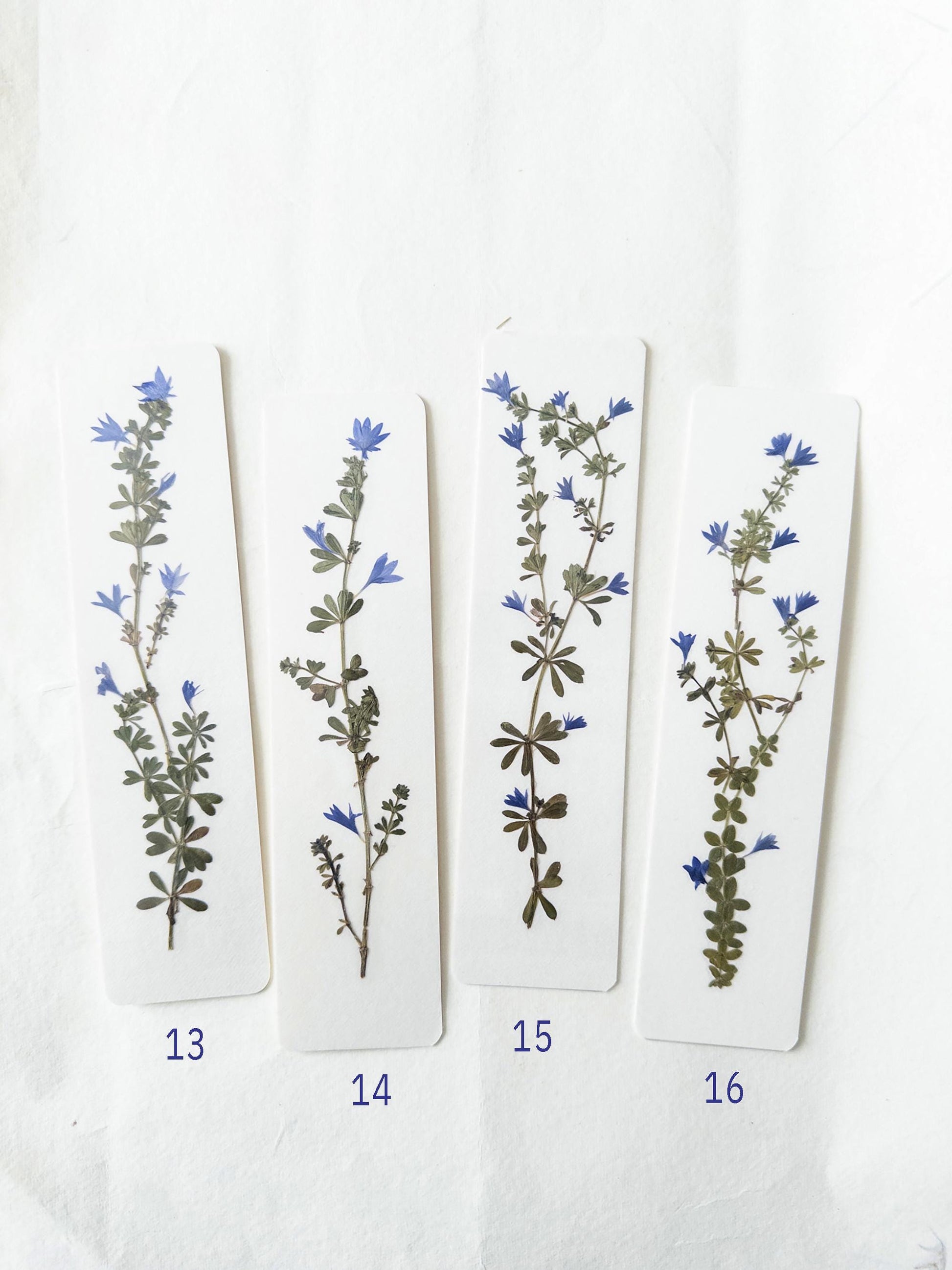Pressed flower bookmark on handmade cotton paper, cornflower , handmade bookmark, gift, dried flower, fleur séchée , marque page Le Bleuet