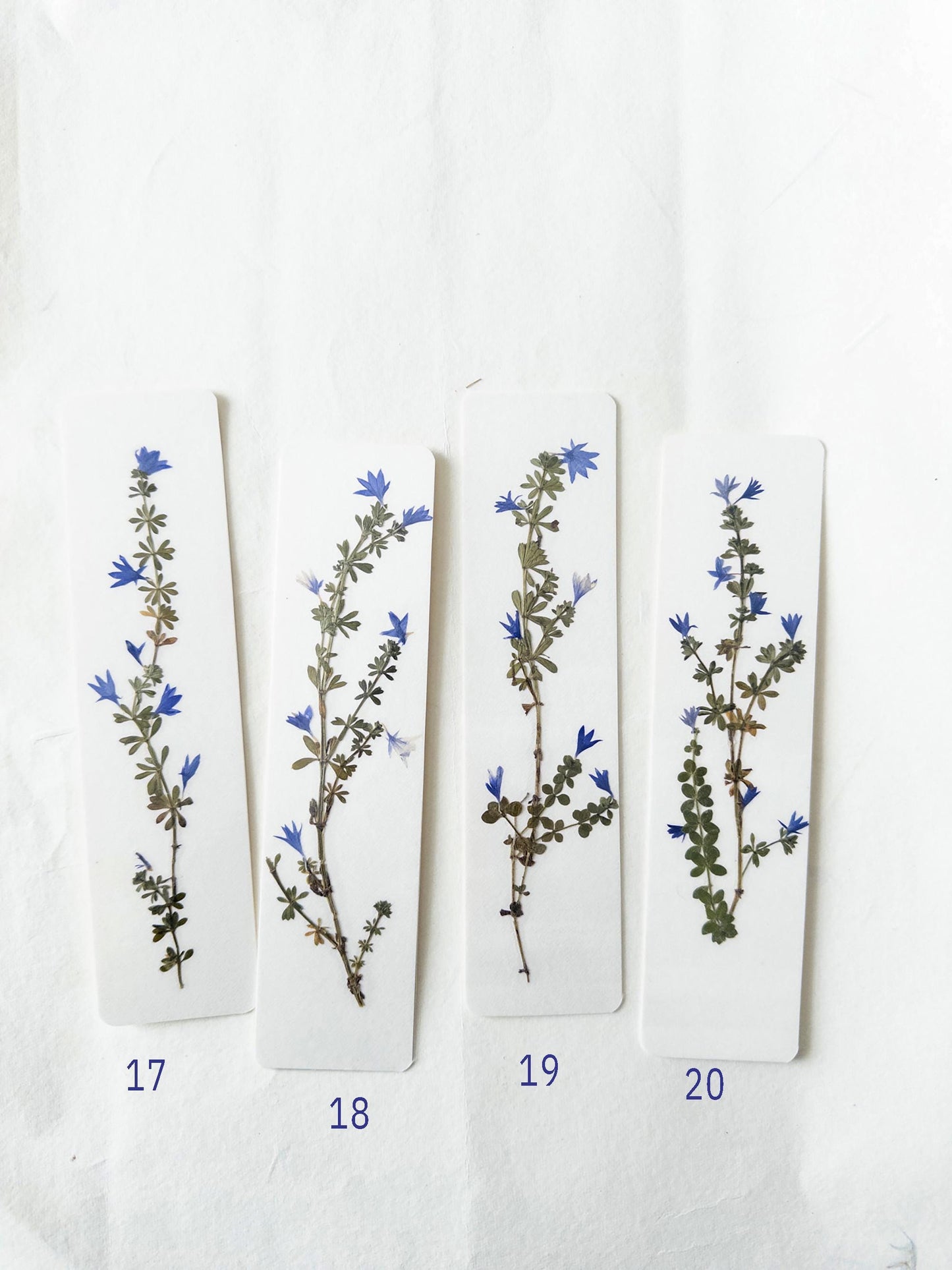 Pressed flower bookmark on handmade cotton paper, cornflower , handmade bookmark, gift, dried flower, fleur séchée , marque page Le Bleuet