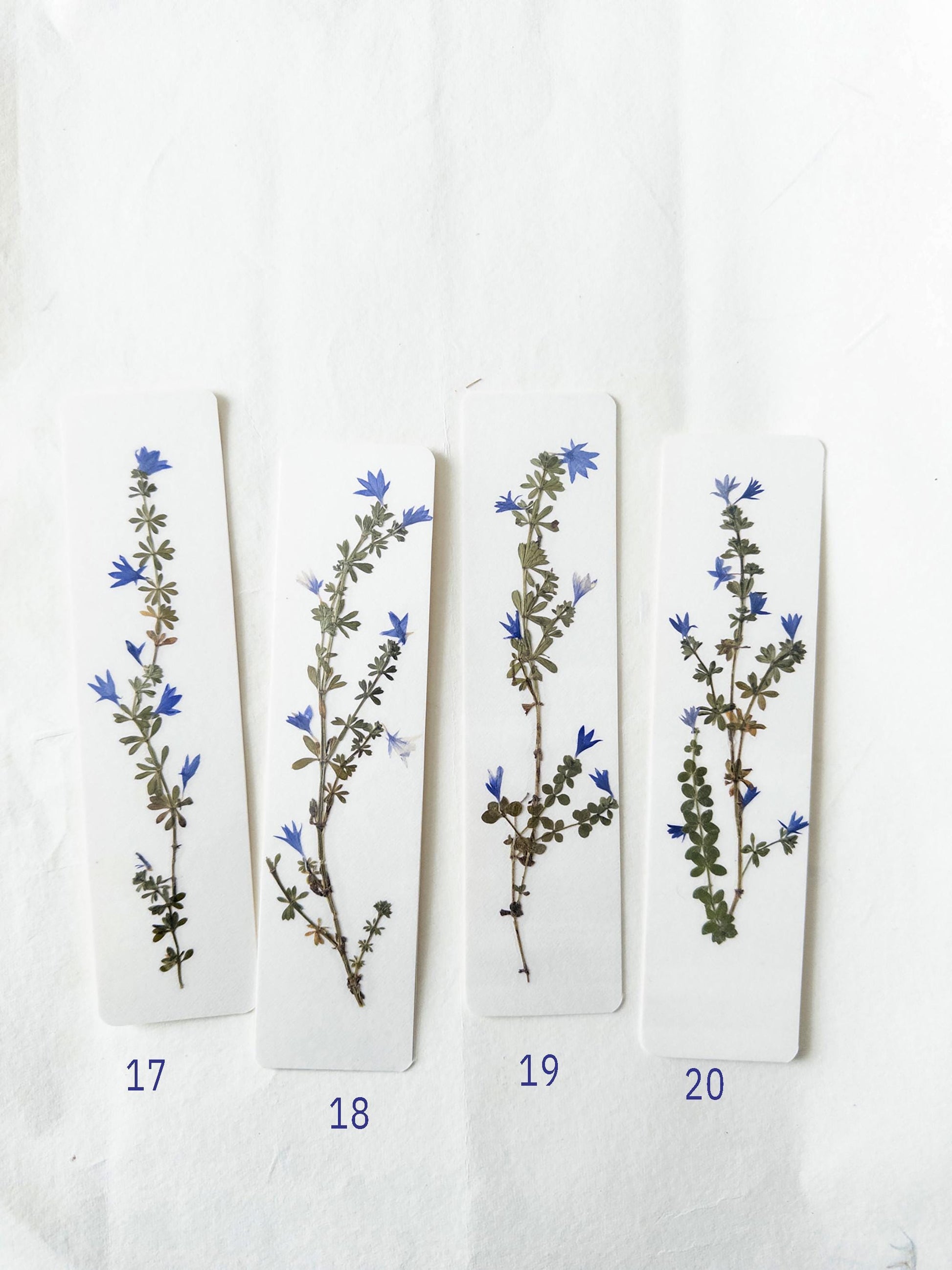 Pressed flower bookmark on handmade cotton paper, cornflower , handmade bookmark, gift, dried flower, fleur séchée , marque page Le Bleuet