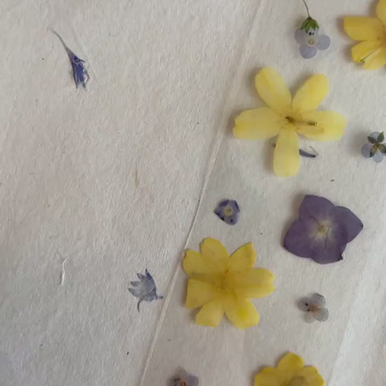 Transparent pressed flower bookmark, mixed flowers, handmade bookmark, gift, dried flower, fleur séchée , marque page laminated bookmark