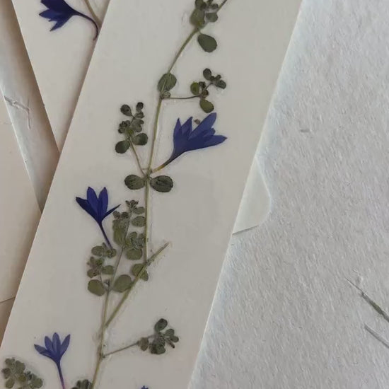 Pressed flower bookmark on handmade cotton paper, cornflower , handmade bookmark, gift, dried flower, fleur séchée , marque page Le Bleuet
