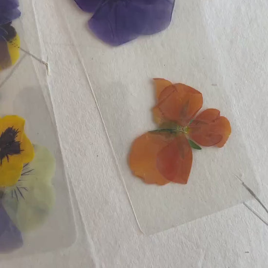 Pansy flower pressed flower bookmark, violet flowers, handmade bookmark, fleur séchée ,marque page laminated bookmark gift for her