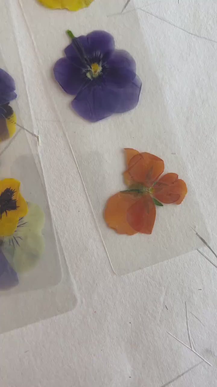 Pansy flower pressed flower bookmark, violet flowers, handmade bookmark, fleur séchée ,marque page laminated bookmark gift for her