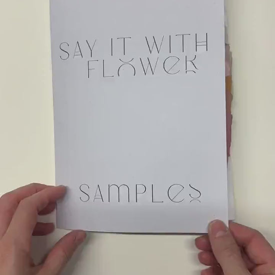 Complete sample pack, Handmade Paper Sample Pack | 17 Color Swatches | Deckle Edge Paper | Envelope & Paper Size Samples | Invitation Paper