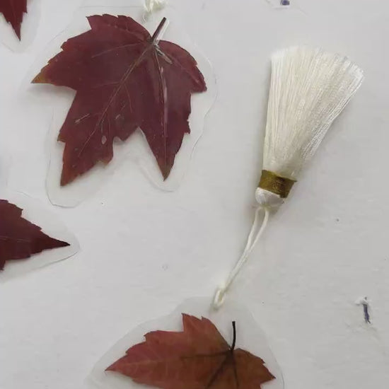Pressed flower bookmark  Ginkgo leaves with silk Tassel , transparent bookmark, handmade bookmark, dried flower, feuille Ginkgo, marque page