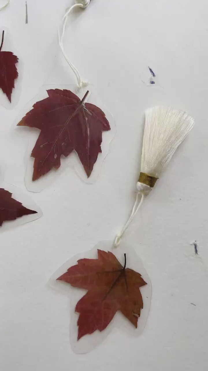 Pressed flower bookmark  Ginkgo leaves with silk Tassel , transparent bookmark, handmade bookmark, dried flower, feuille Ginkgo, marque page