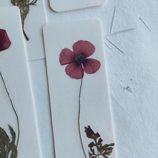 Common poppy bookmark Pressed Flower bookmark corn poppy , dried flower , gift, fleur, fleur séchée, marque page coquelicots
